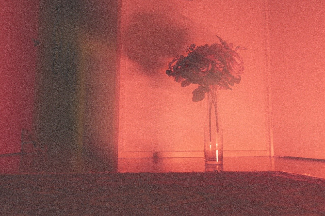 RGB Flower Bouquet Blur Path Red COMP.jpeg