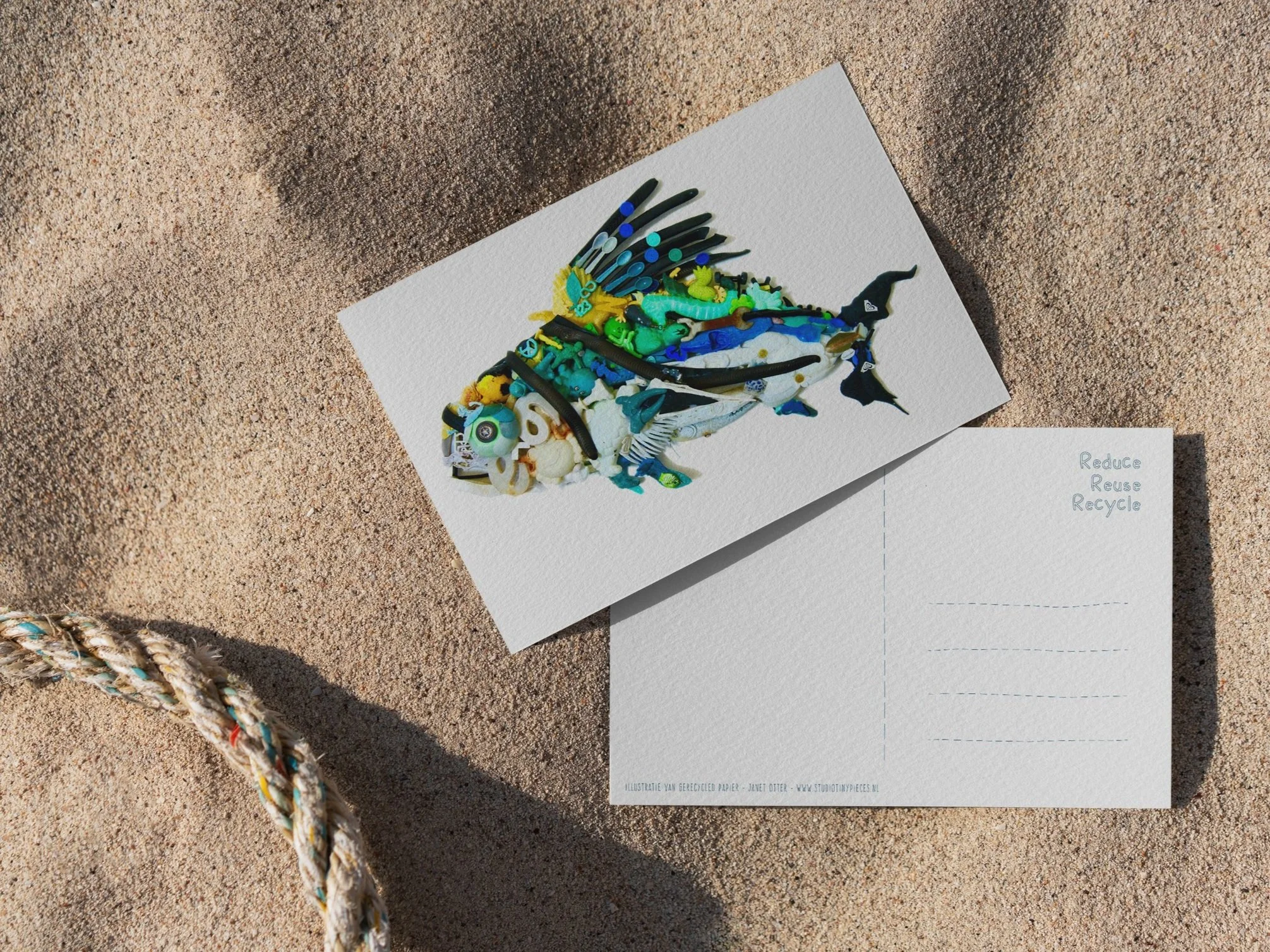 roosterfish on beach.jpg