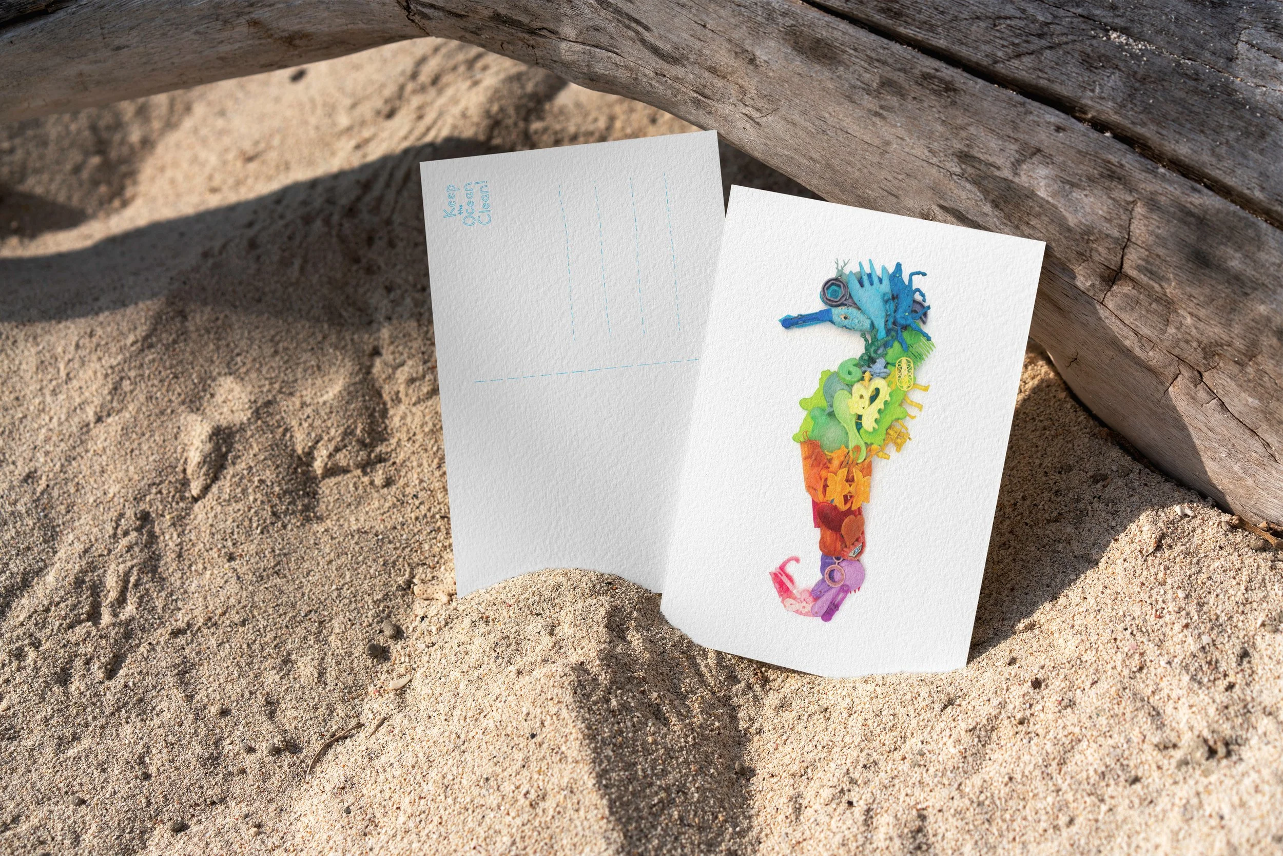 zeepaard op het strand beide kanten.jpg