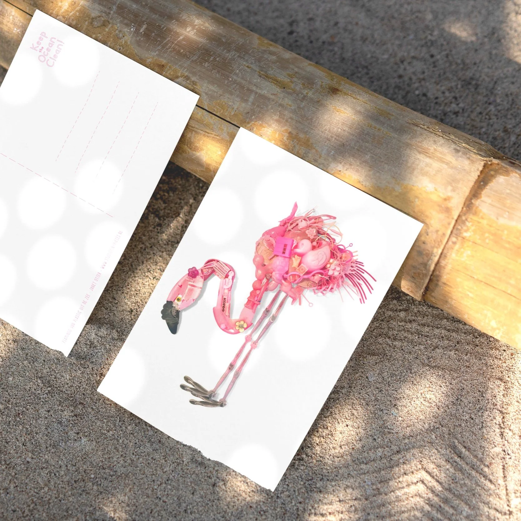 flamingo op strand1.jpg