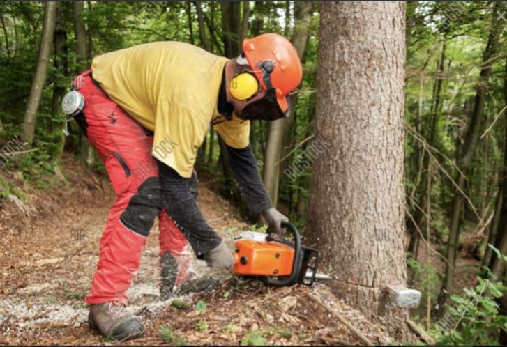 Level 3 Award in Forestry First Aid +F (RQF)