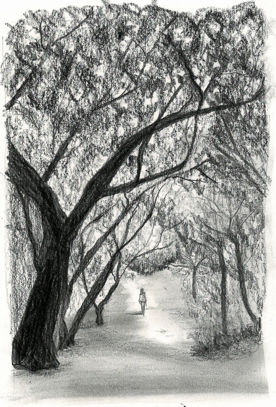 NOIR ET BLANC FORET.png