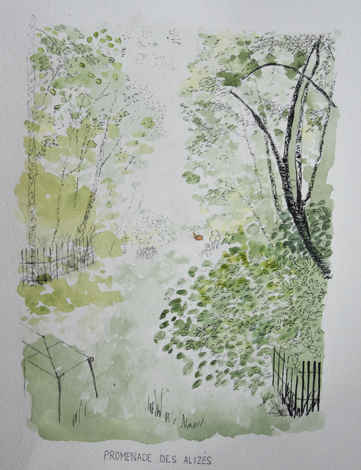 CROQUIS ALIZES copie.png