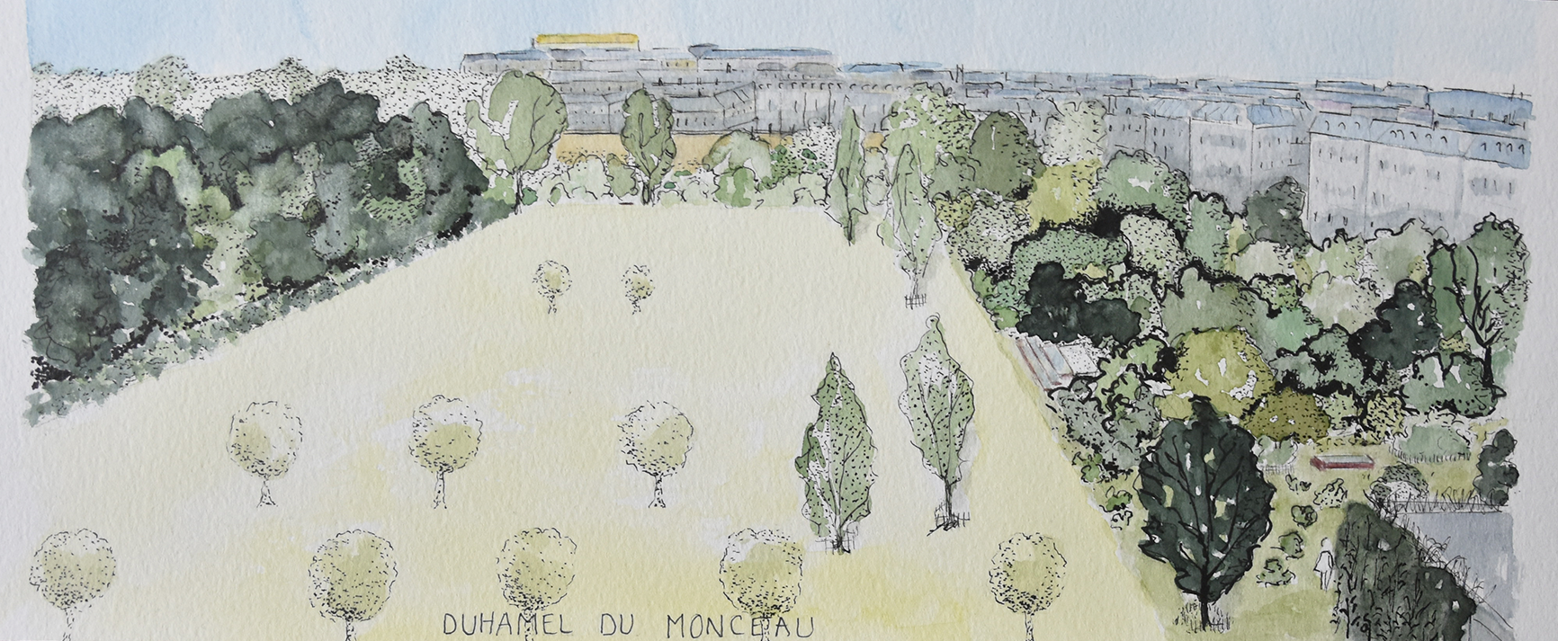 CROQUIS GENERAL DDM.png