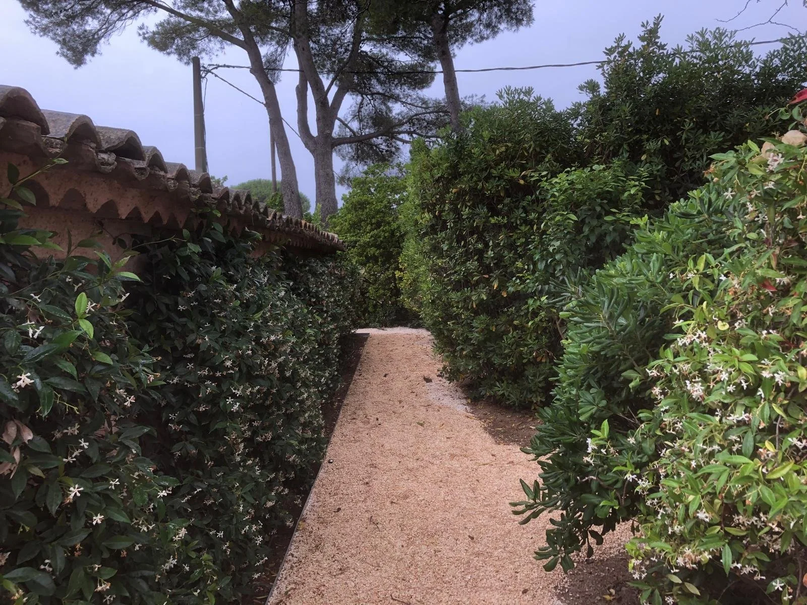 f08c13ca-a02a-4c81-b5f1-0bae48466e73 (2).JPG