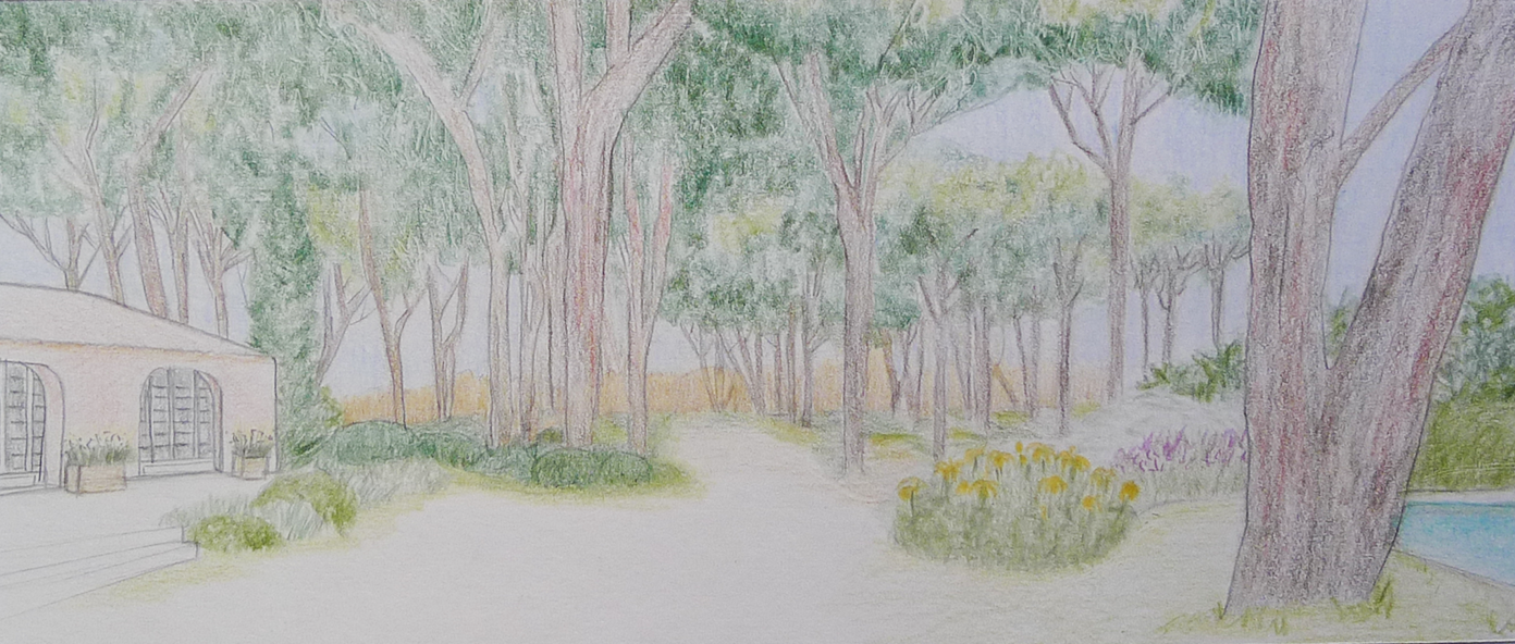 PERSPECTIVE PINEDE.png