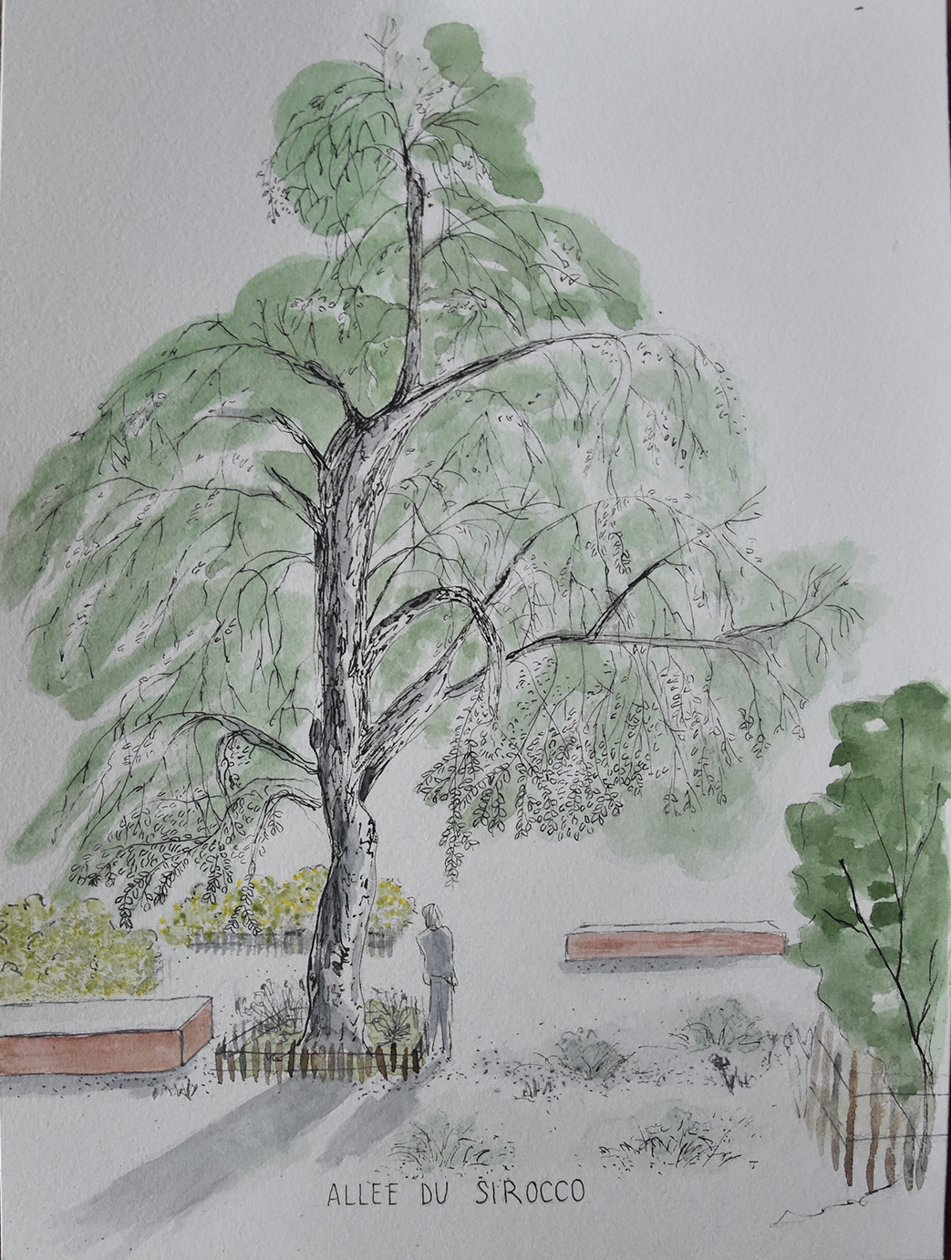 CROQUIS SIROCCO 2.png