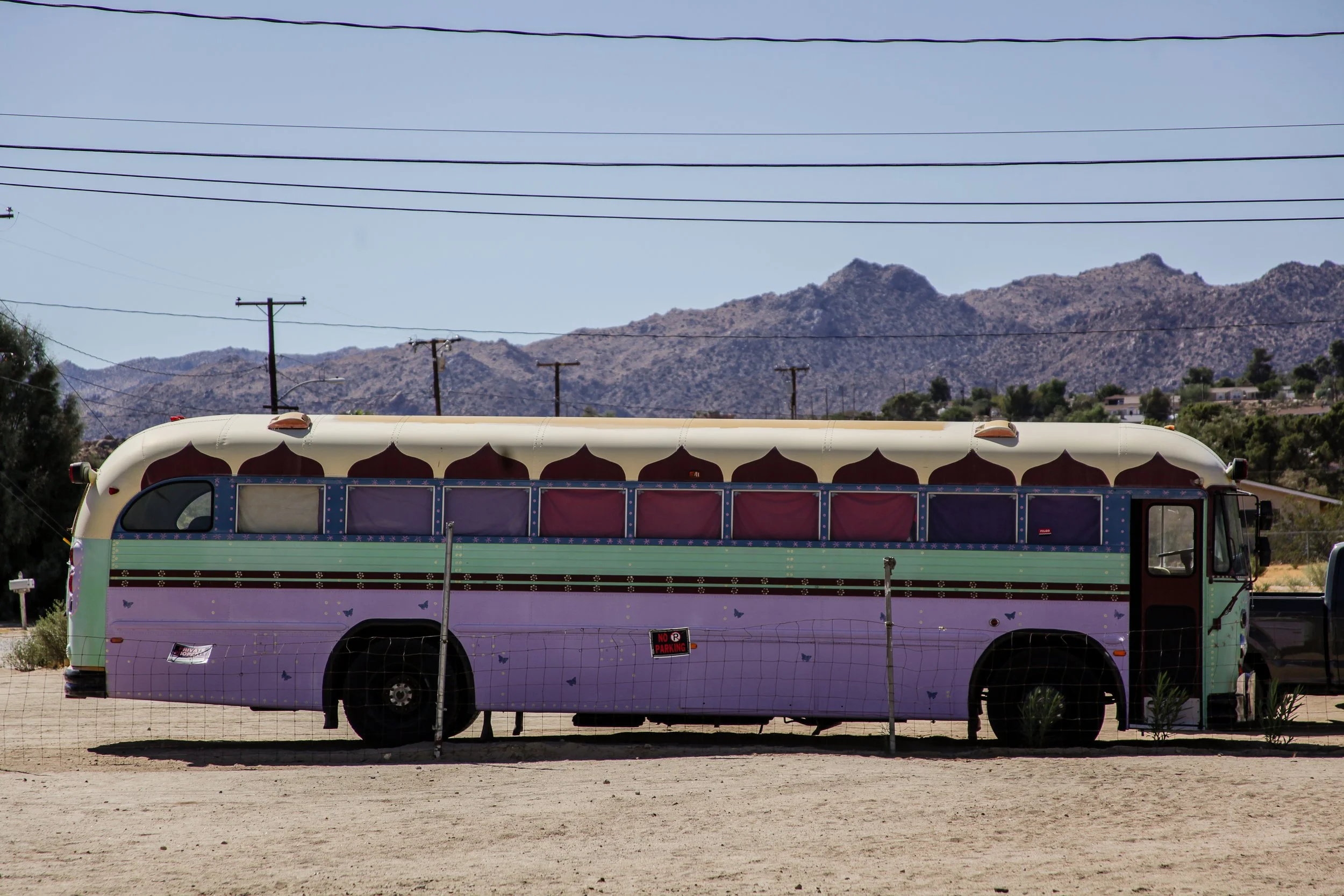 Joshua Tree High Res (15 di 49).jpg