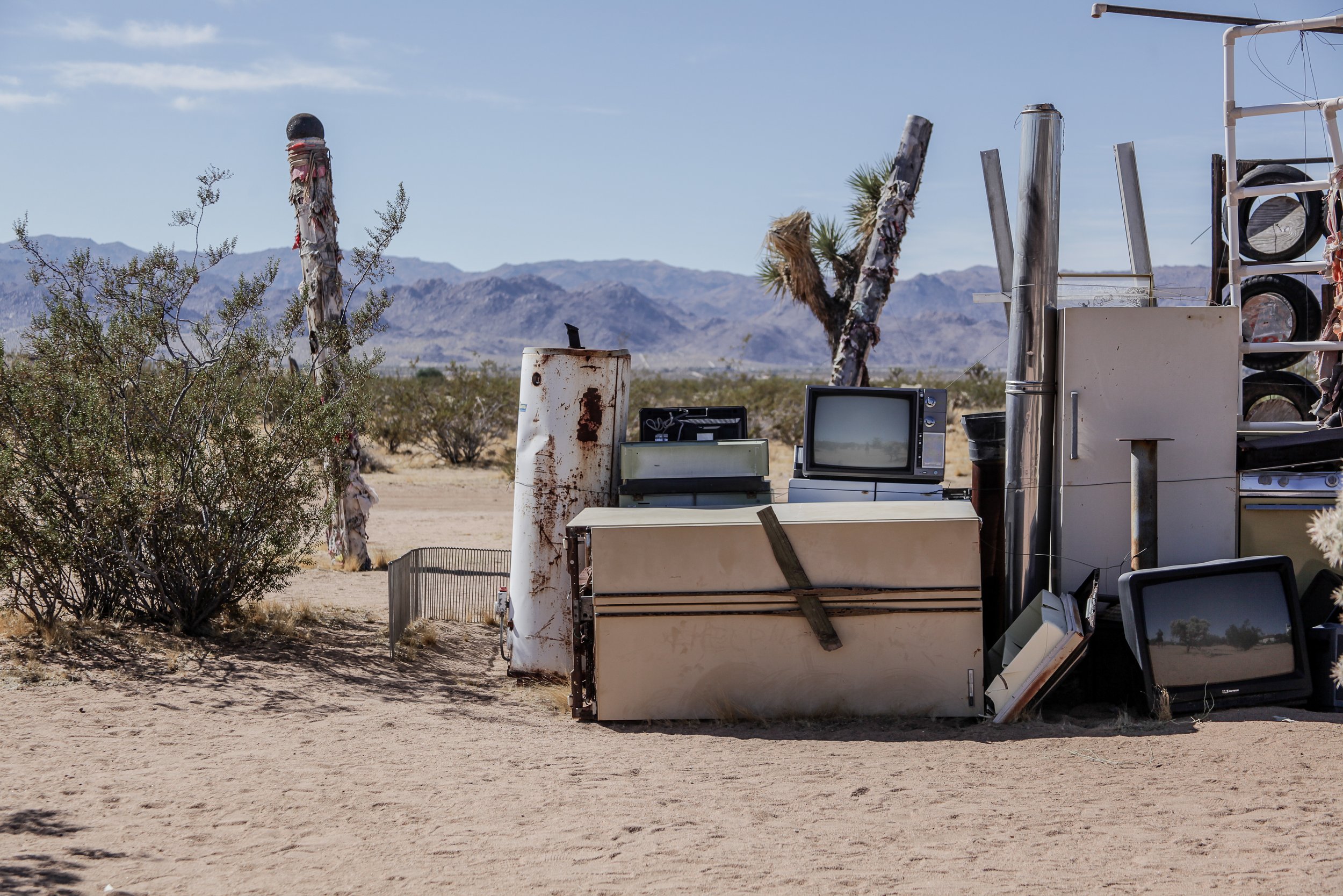 Joshua Tree High Res (13 di 49).jpg