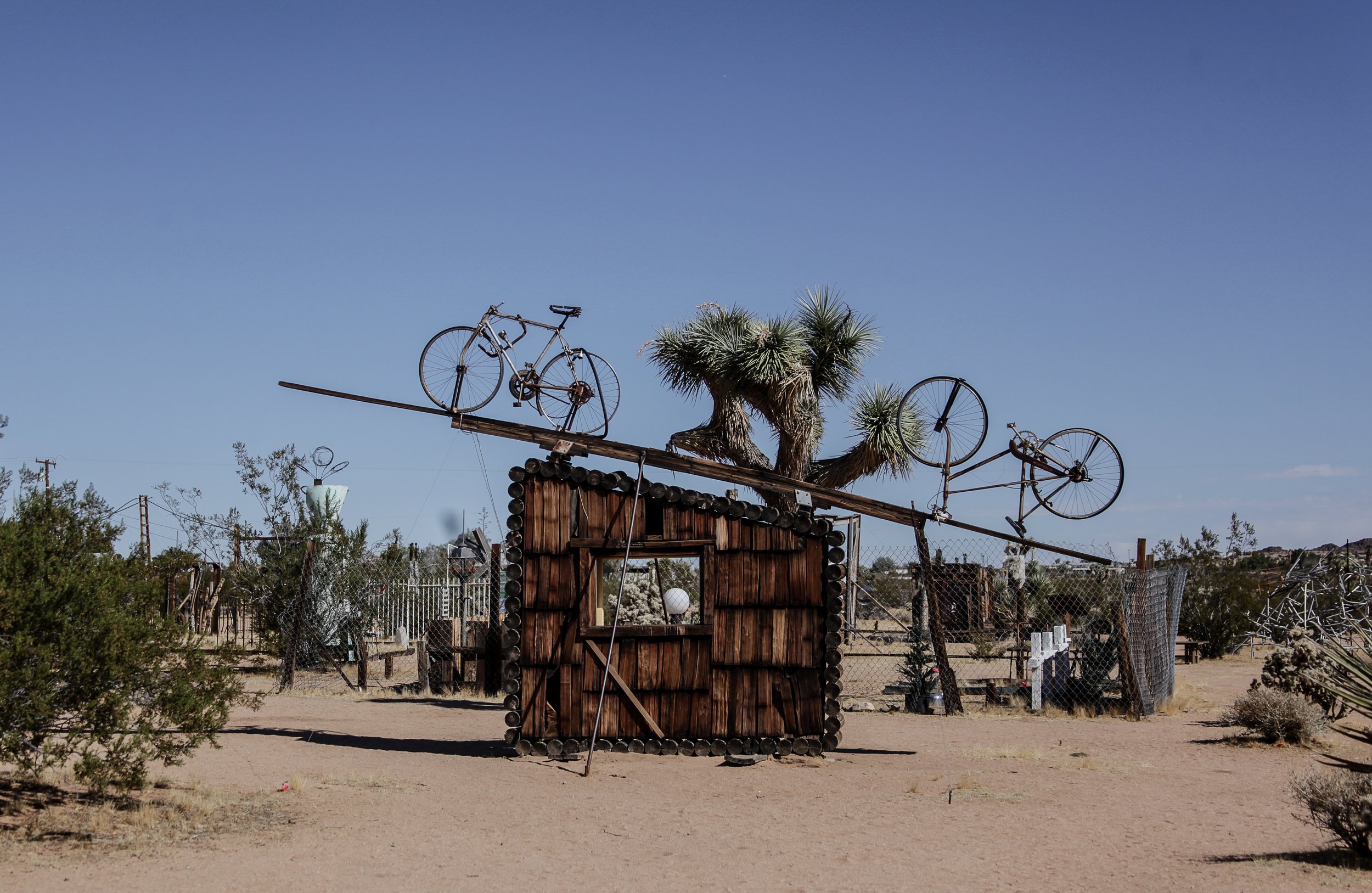 Joshua Tree High Res (12 di 49).jpg