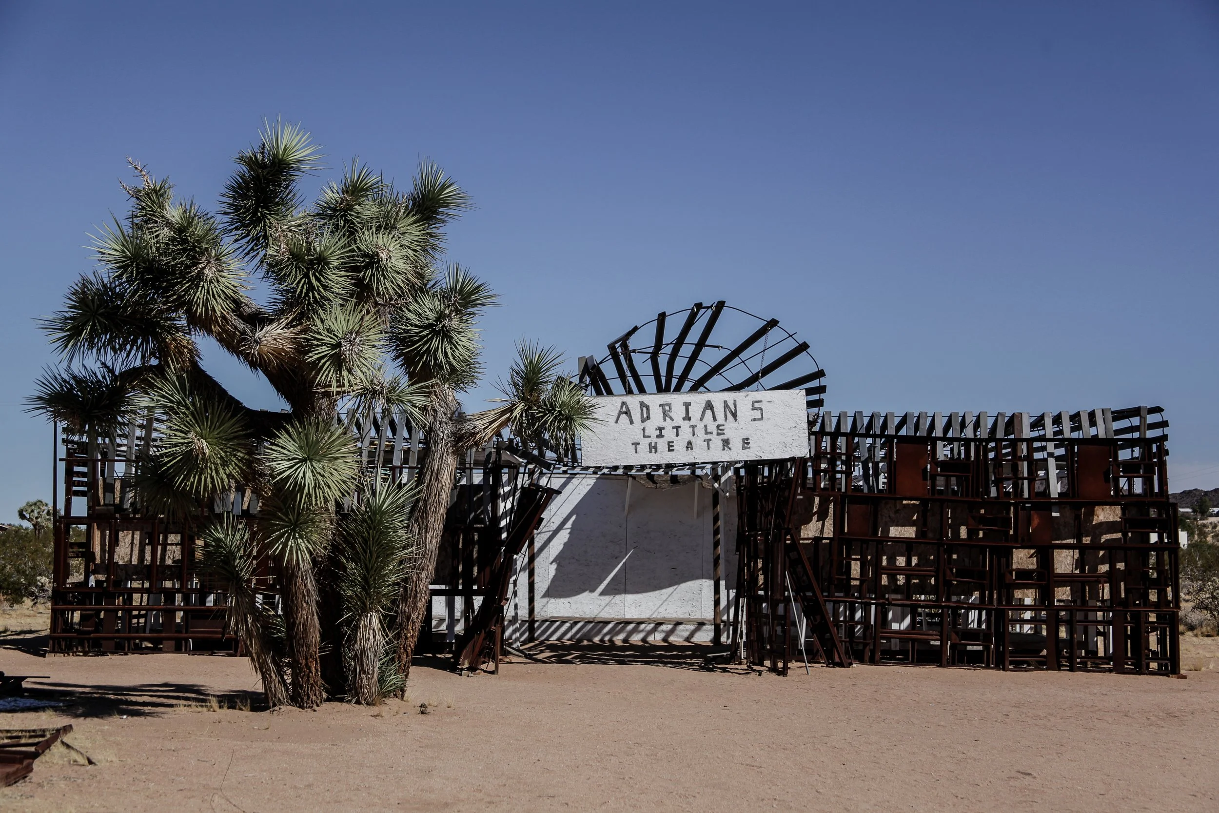 Joshua Tree High Res (14 di 49).jpg