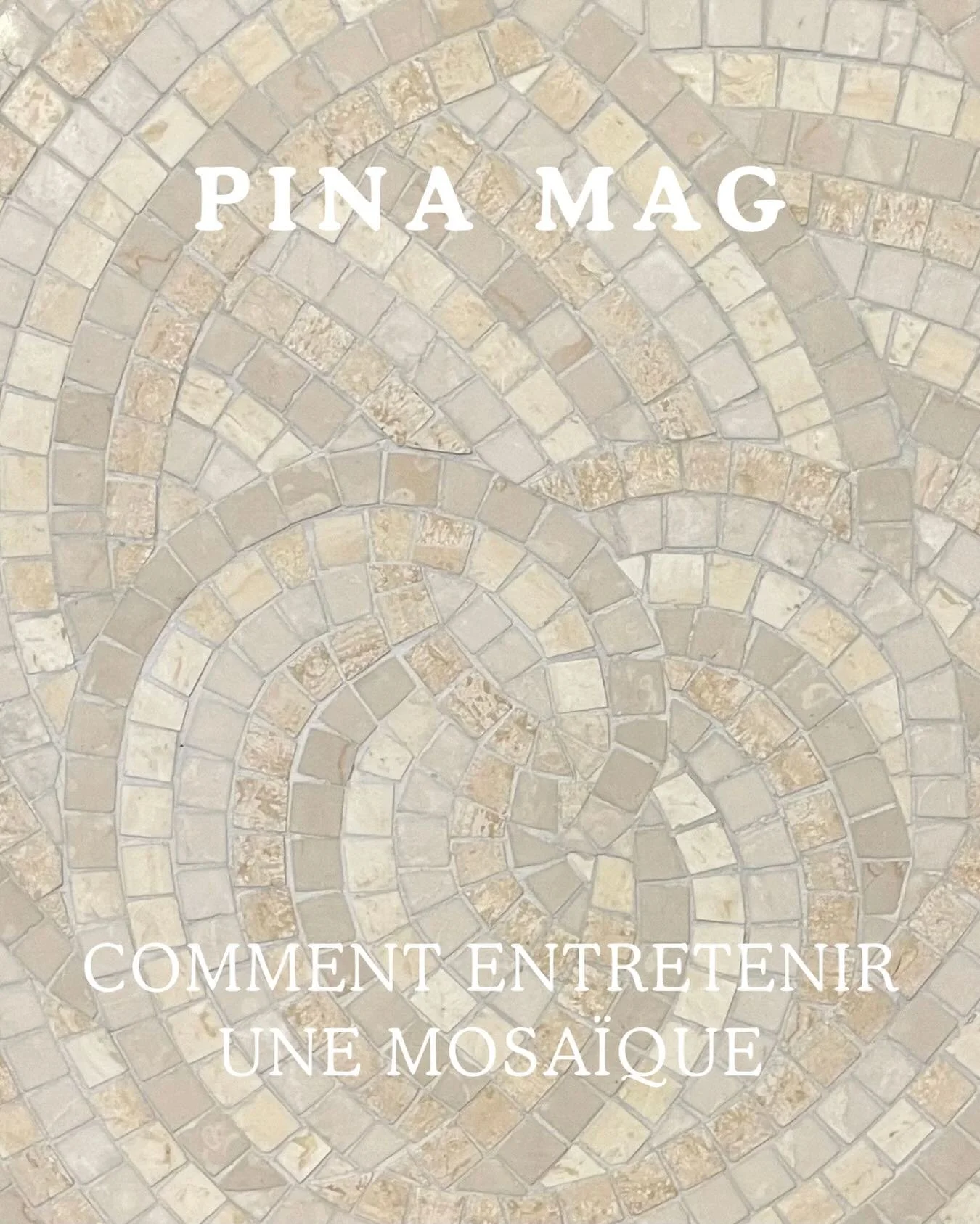 Suite &agrave; de nombreuses questions d&rsquo;entretien et de restauration pour raviver vos mosa&iuml;ques, j&rsquo;ai voulu consacrer l&rsquo;article du mois &agrave; ce sujet d&eacute;licat. Pierres naturelles ou &eacute;maux vitrifi&eacute;s&hell