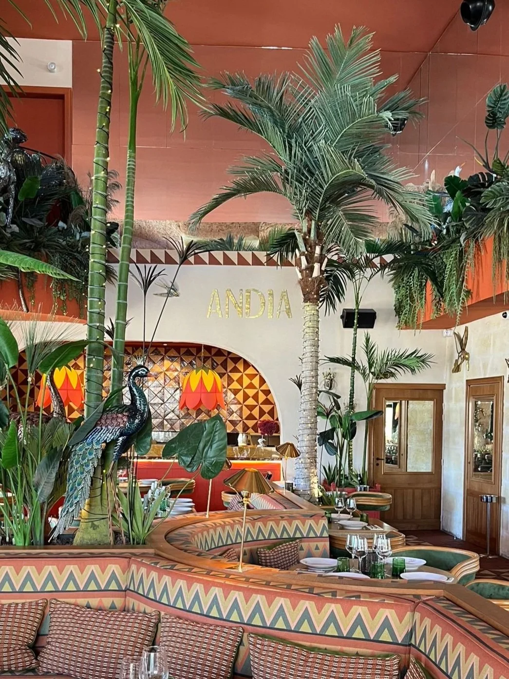 WhatsApp Image 2024-06-27 at 11.56.53.jpg