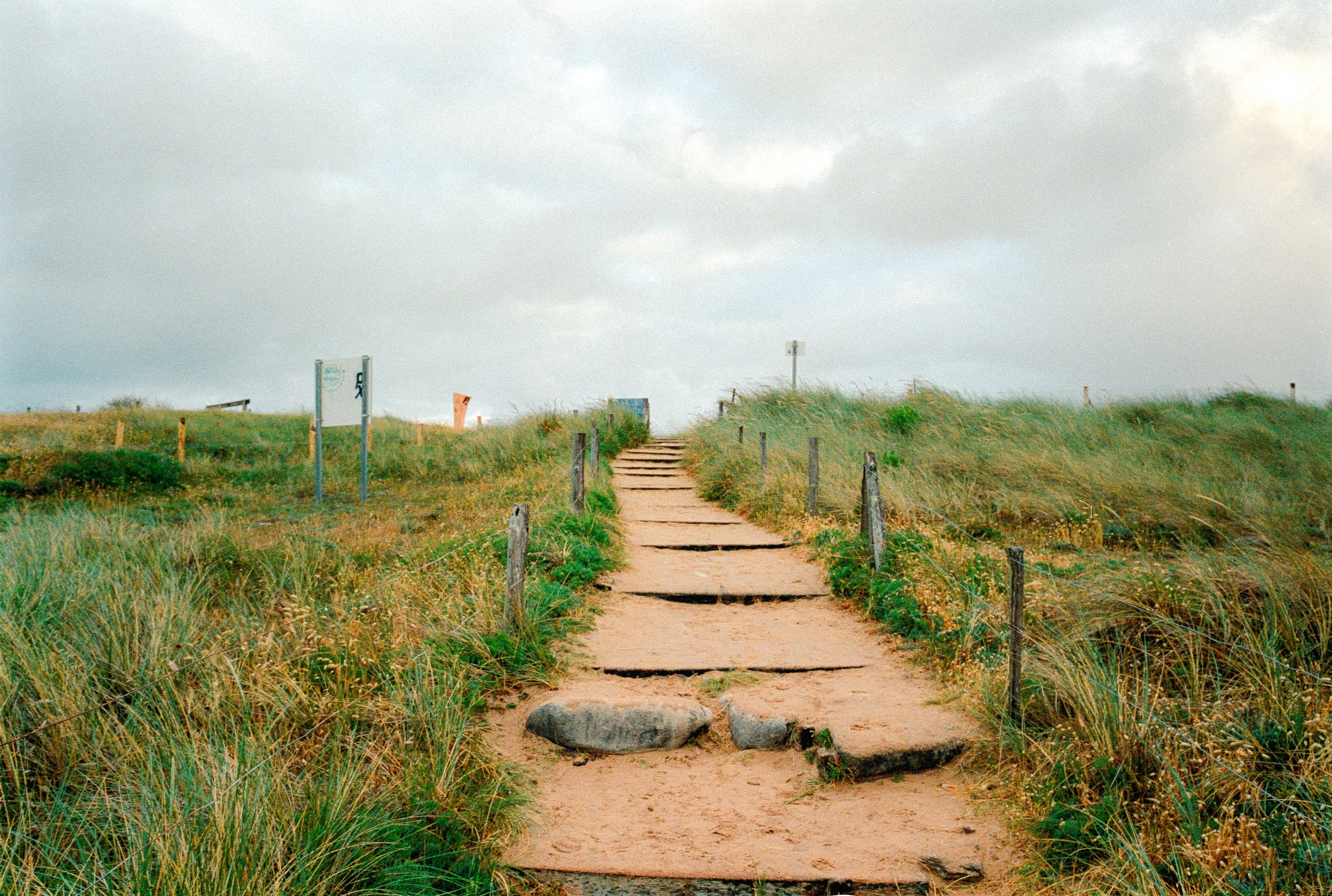 lea-anoufa-2022011-portra800-007-positive2.jpg