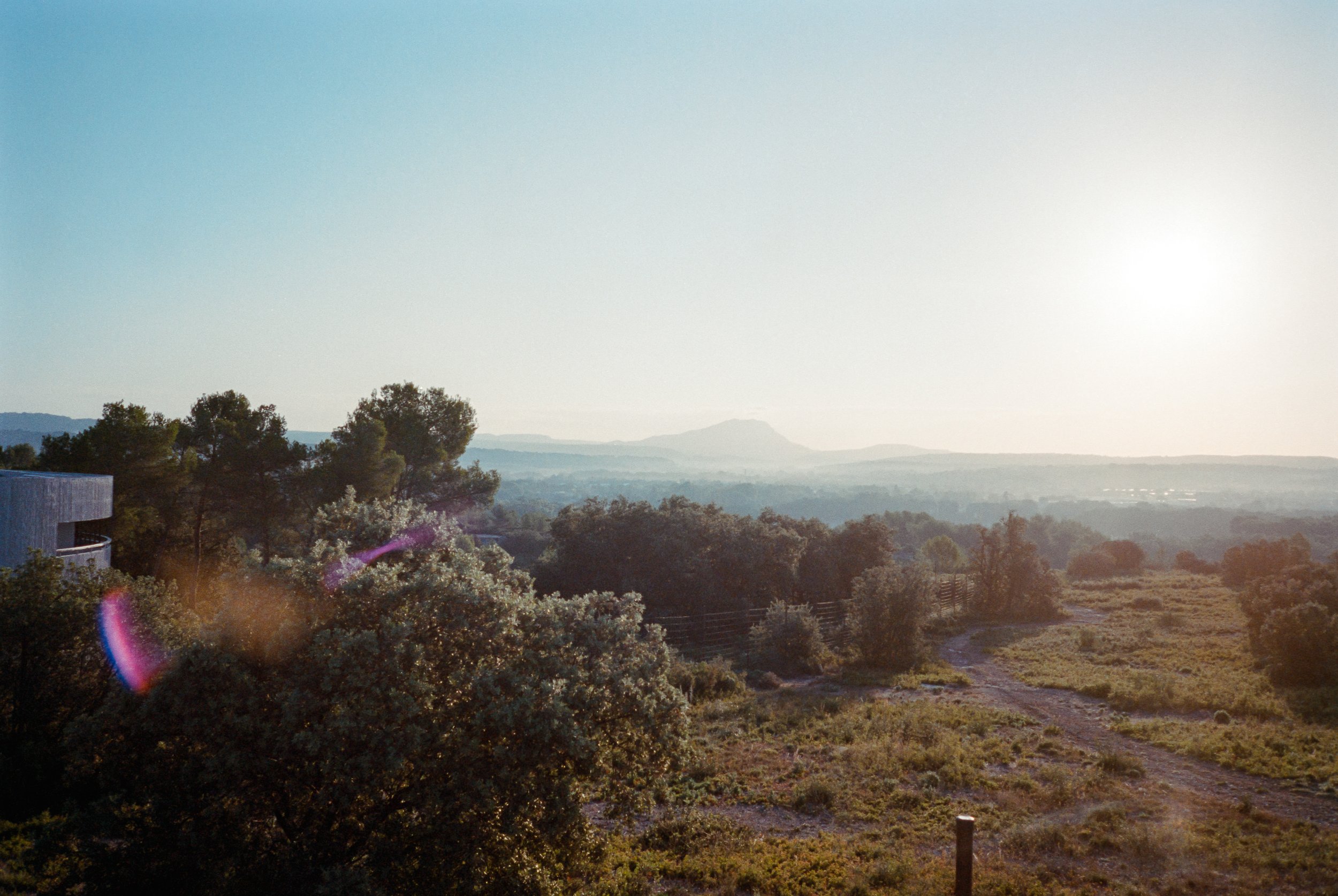 lea-anoufa-2022014-portra400-018-positive-Edit.JPG