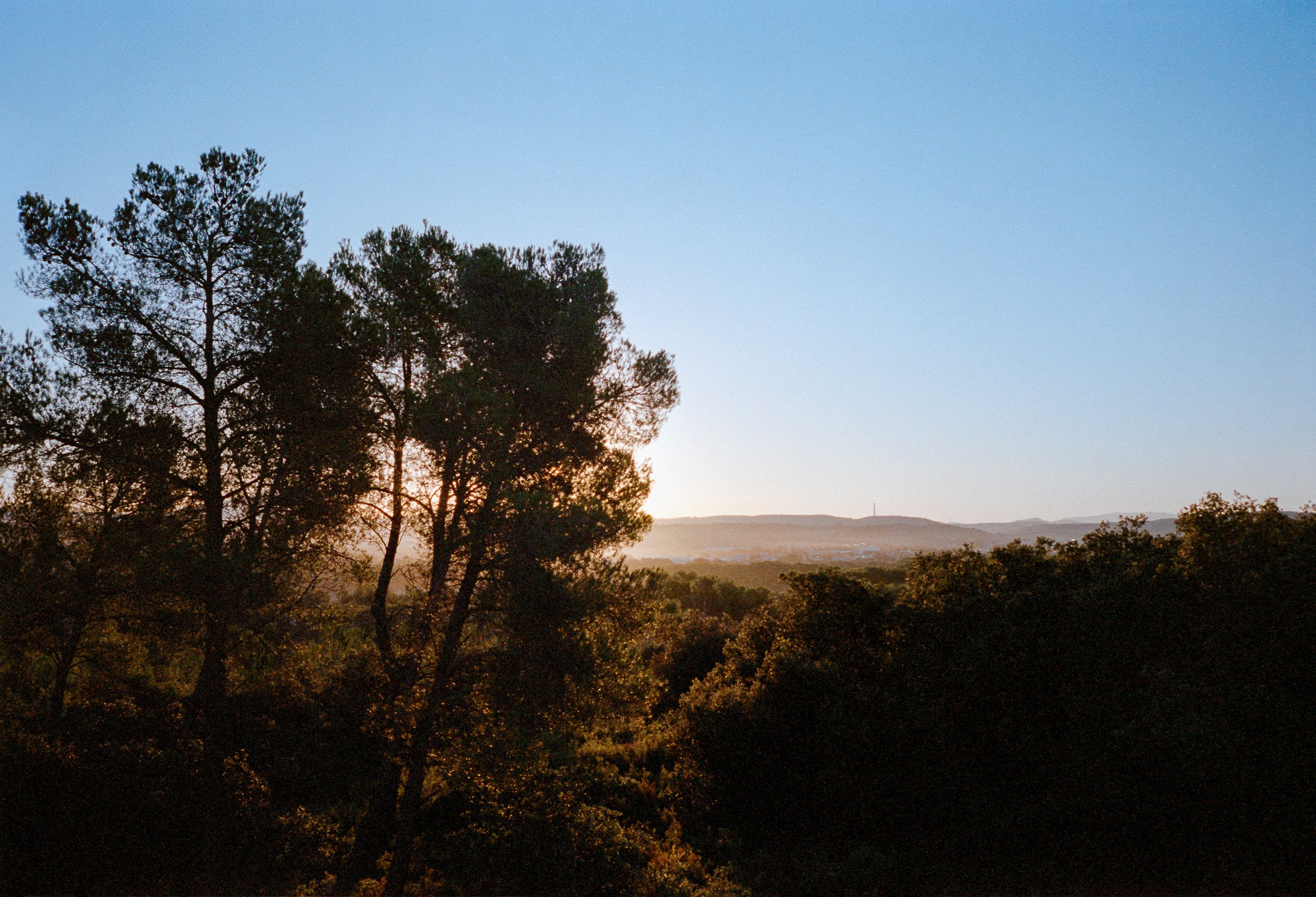 lea-anoufa-2022014-portra400-008-positive-Edit.JPG