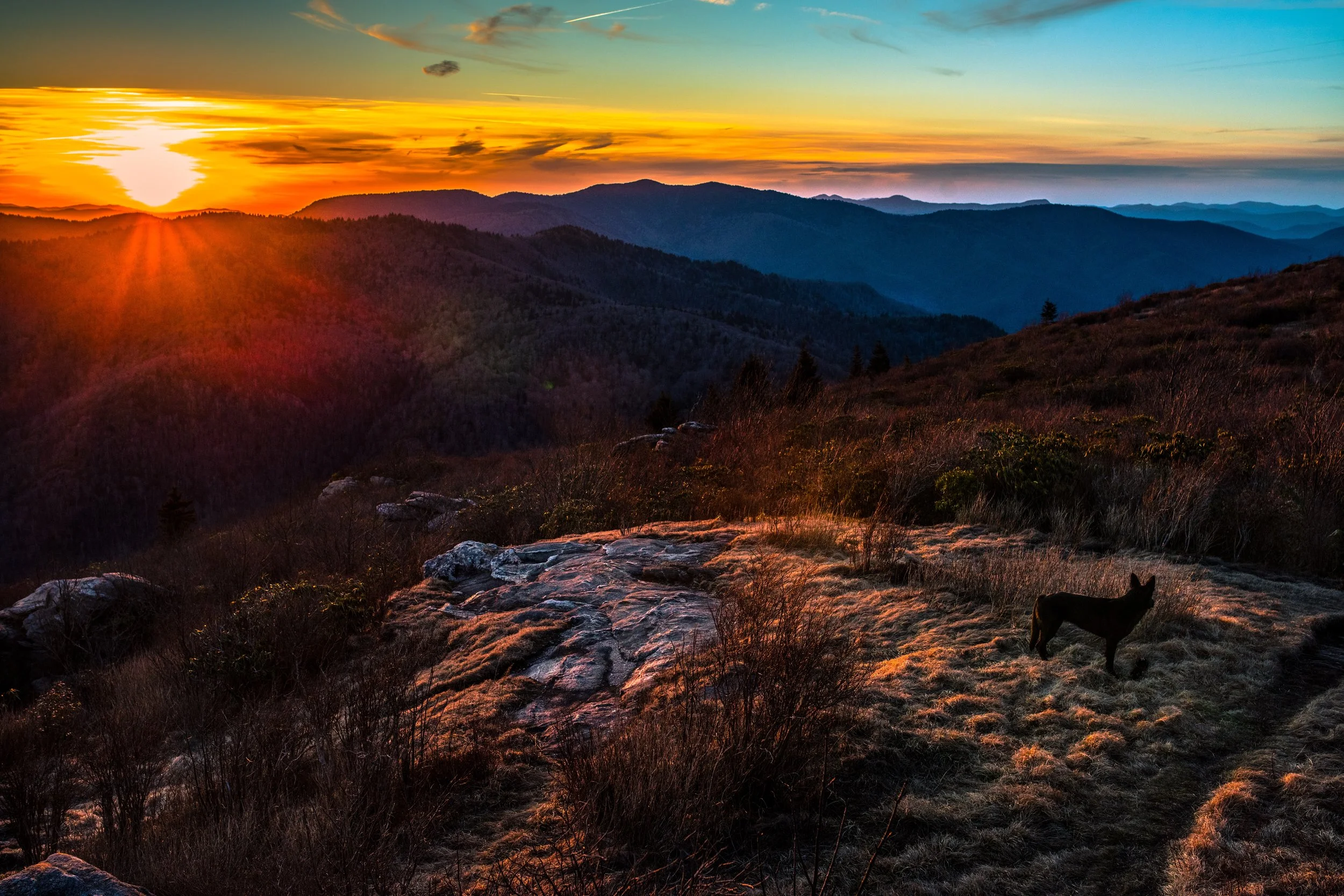 sams knob ivasmaller.jpg