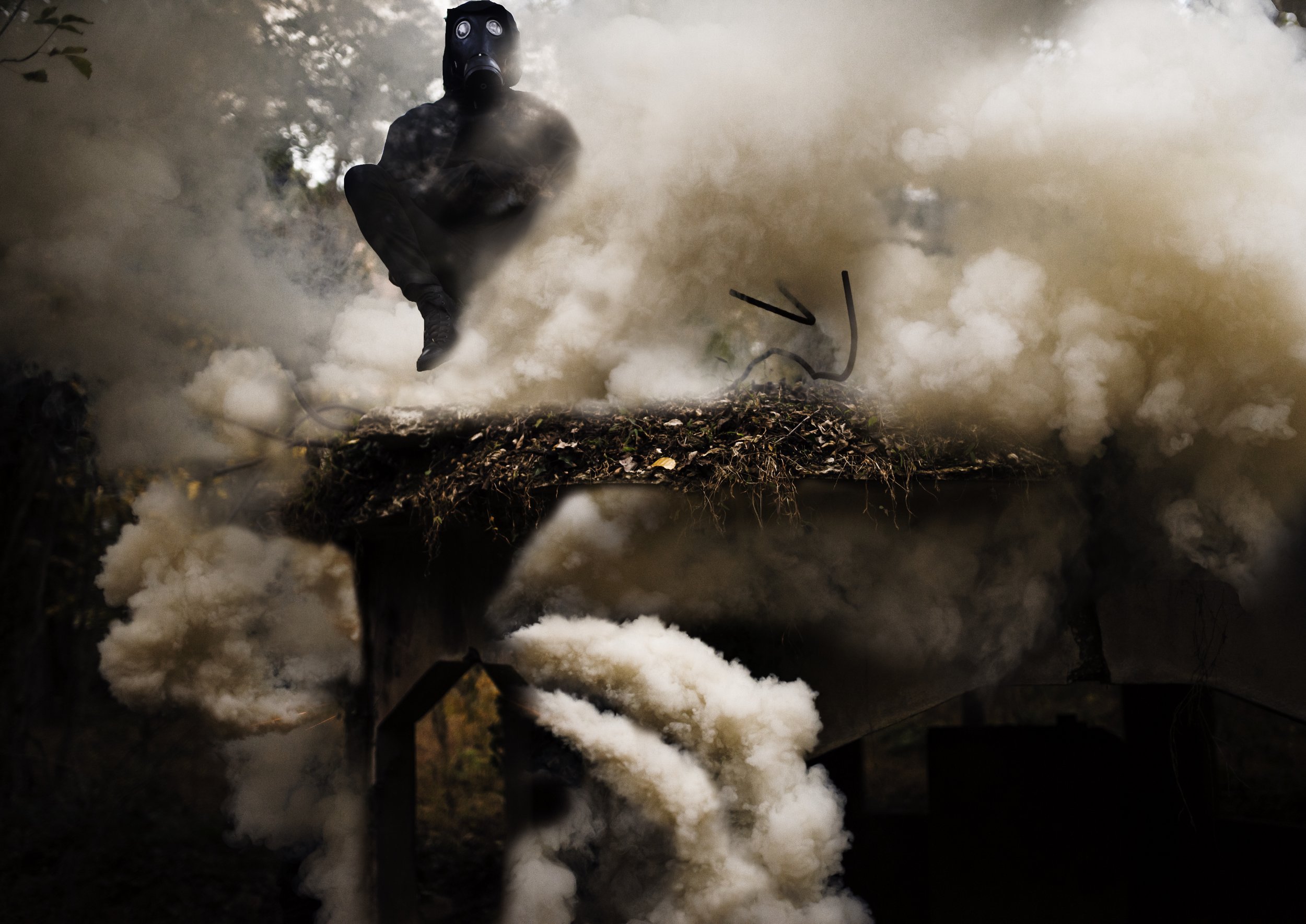 whitesmoke copysmaller.jpg