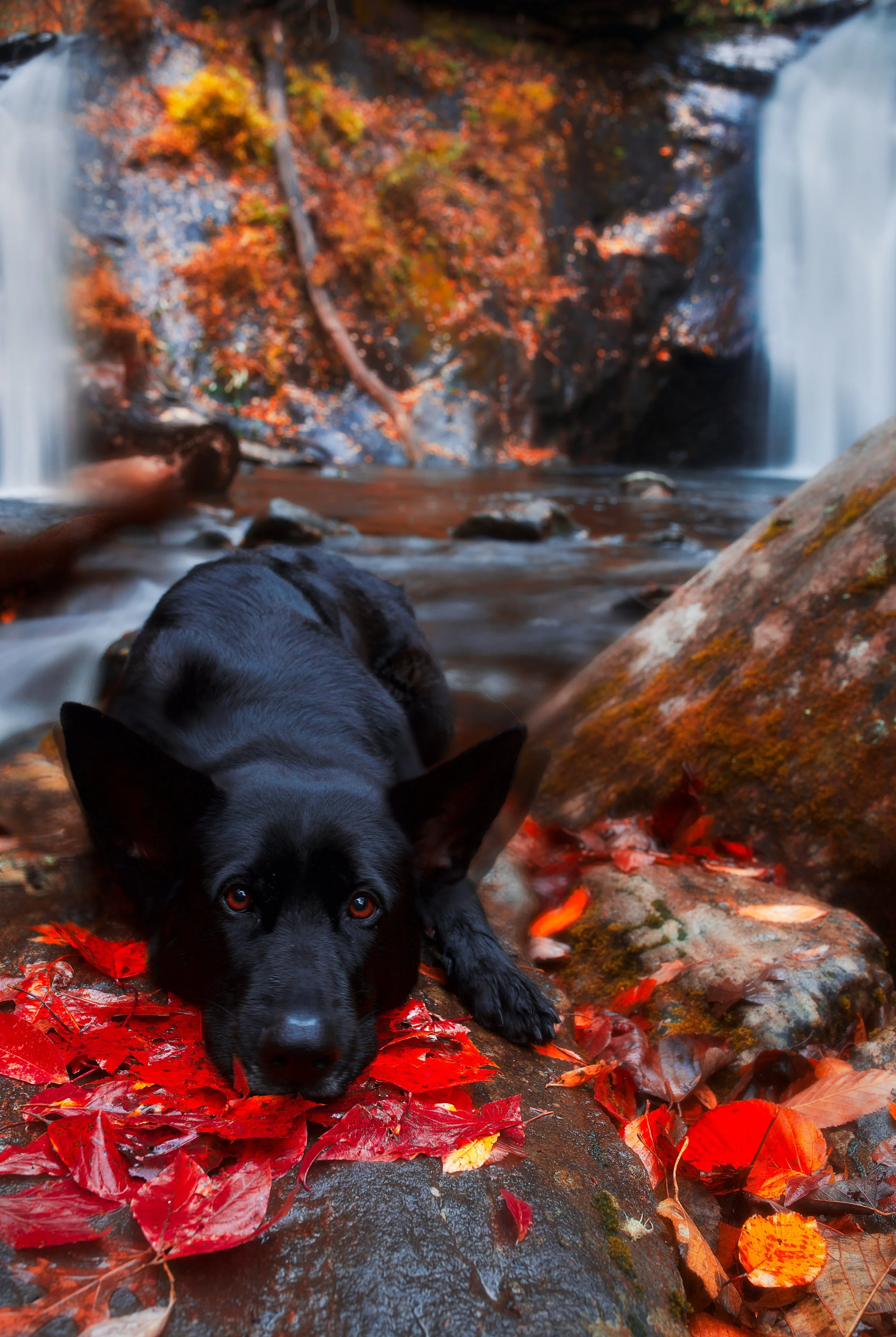 alternative reality1smaller.jpg