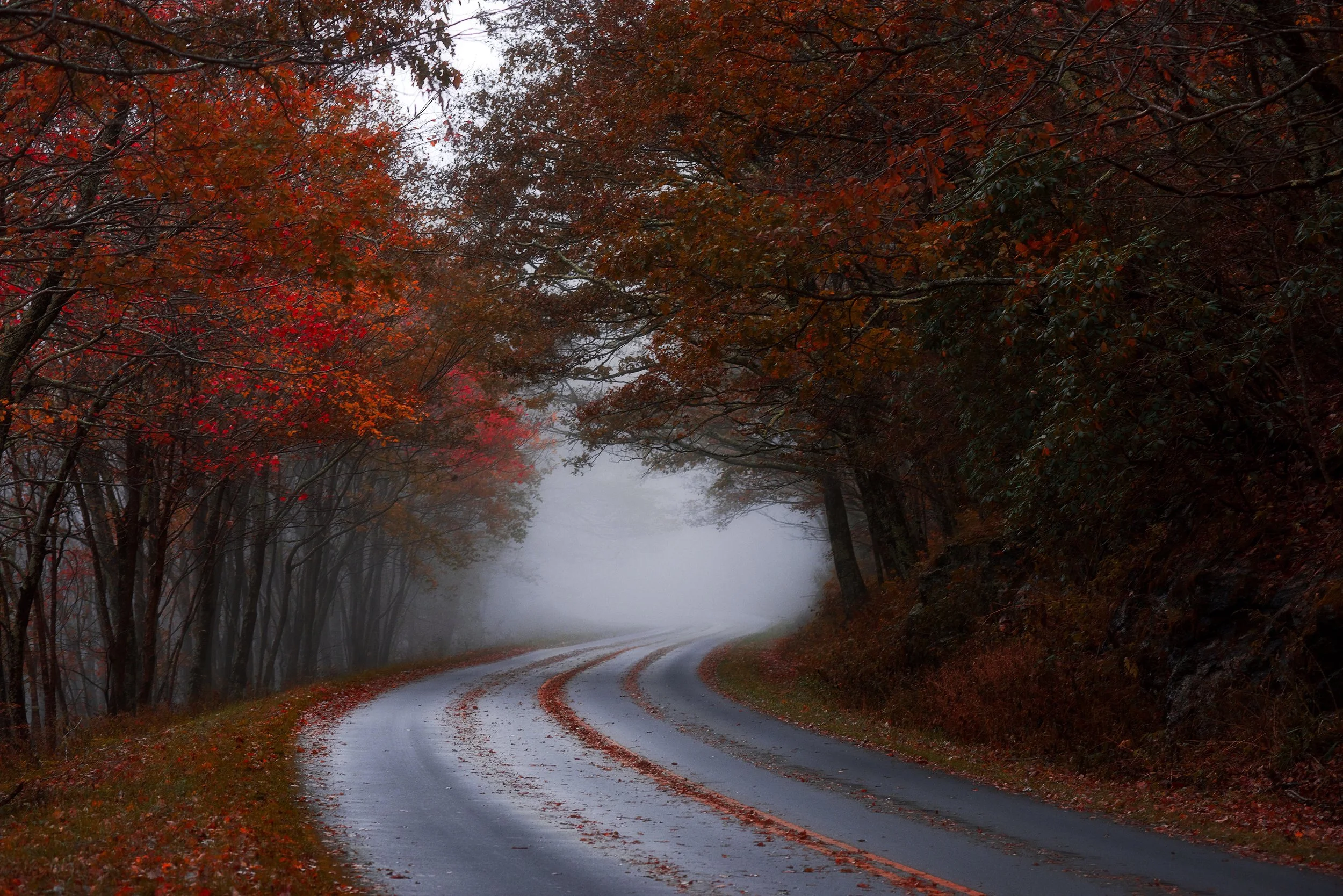 BRPW FALL copysmaller.jpg