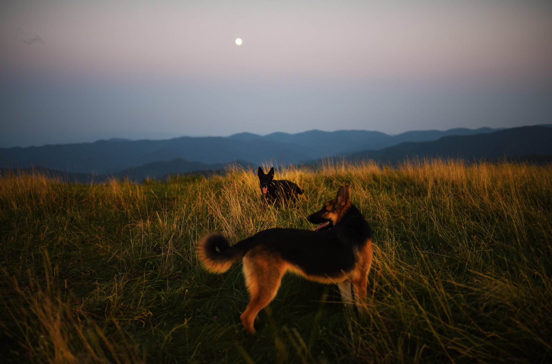 Screen Shot 2017-09-06 at 10.28.42 PM.png