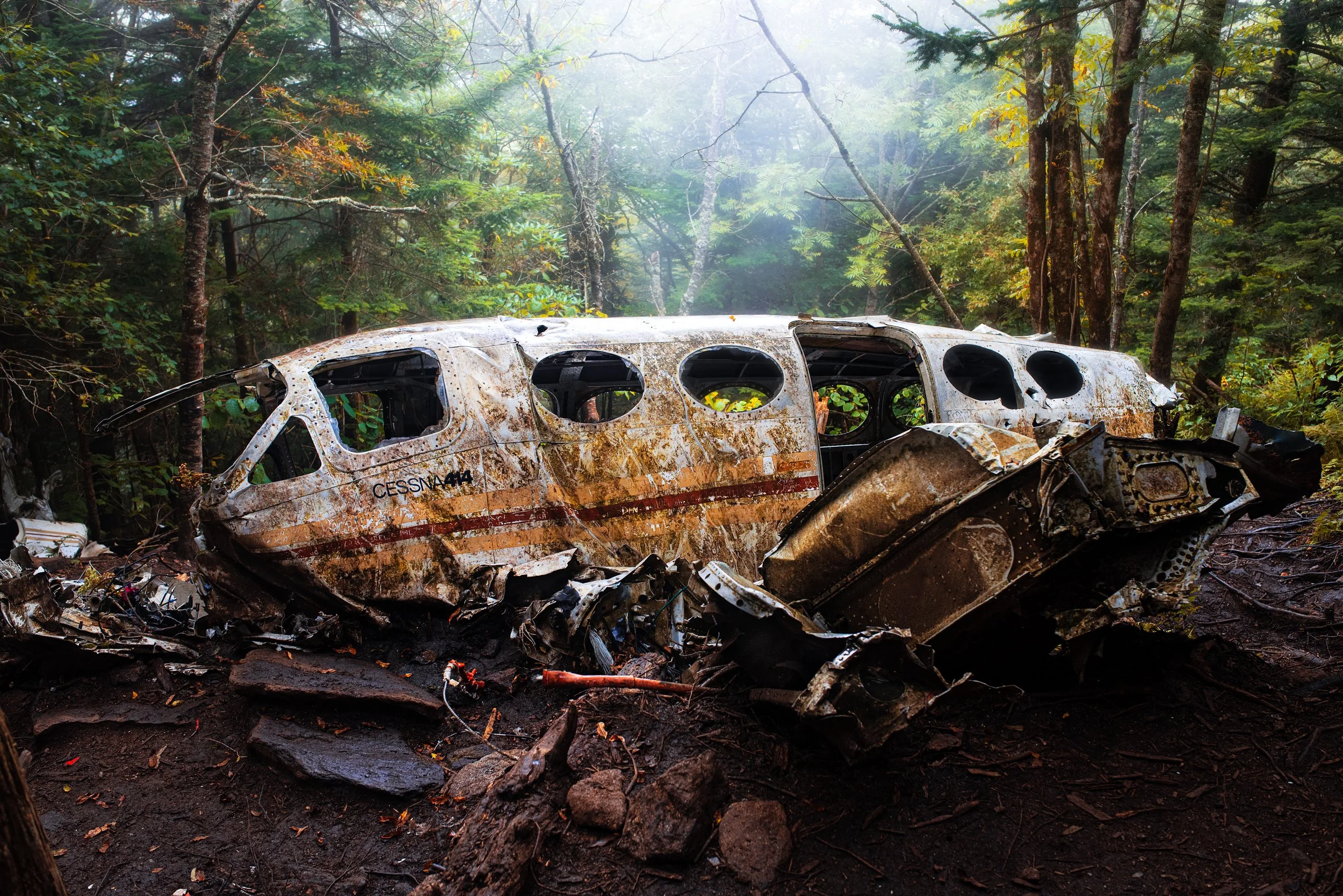 plane crash smaller.jpg