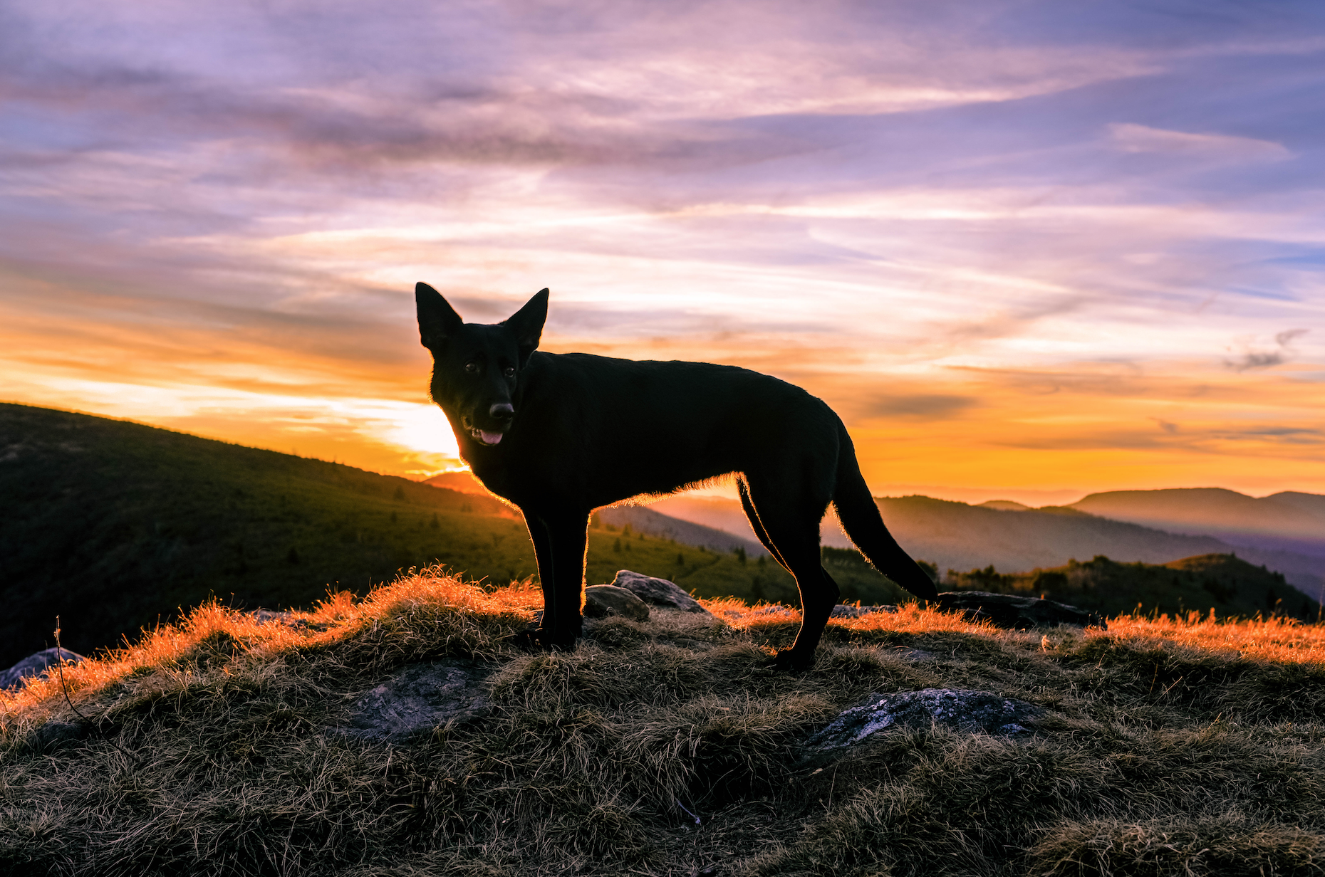 Screen Shot 2017-11-16 at 9.26.31 AM.png