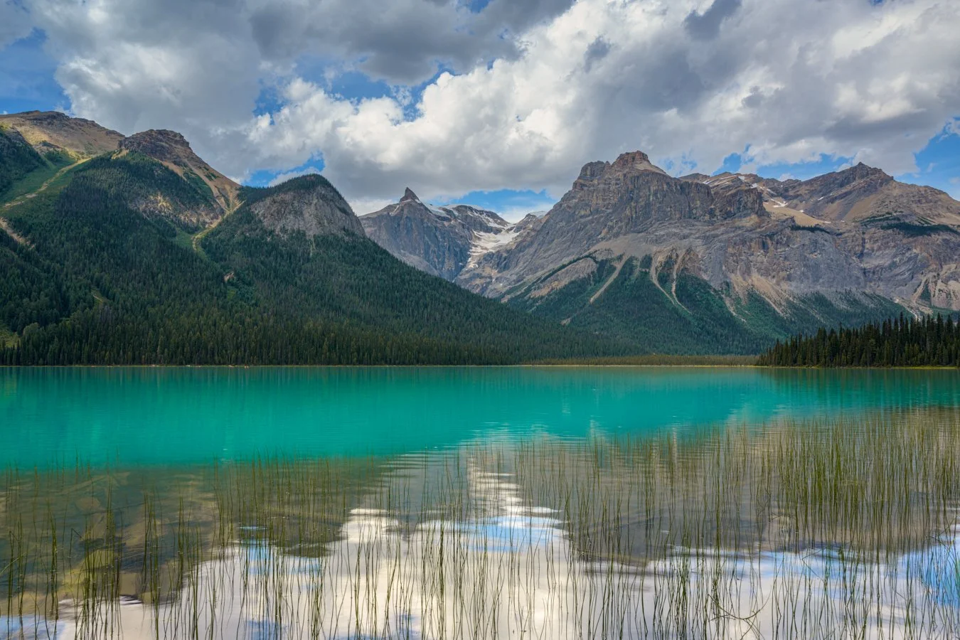 Canadian Rockies, Bannf, 2018.jpg