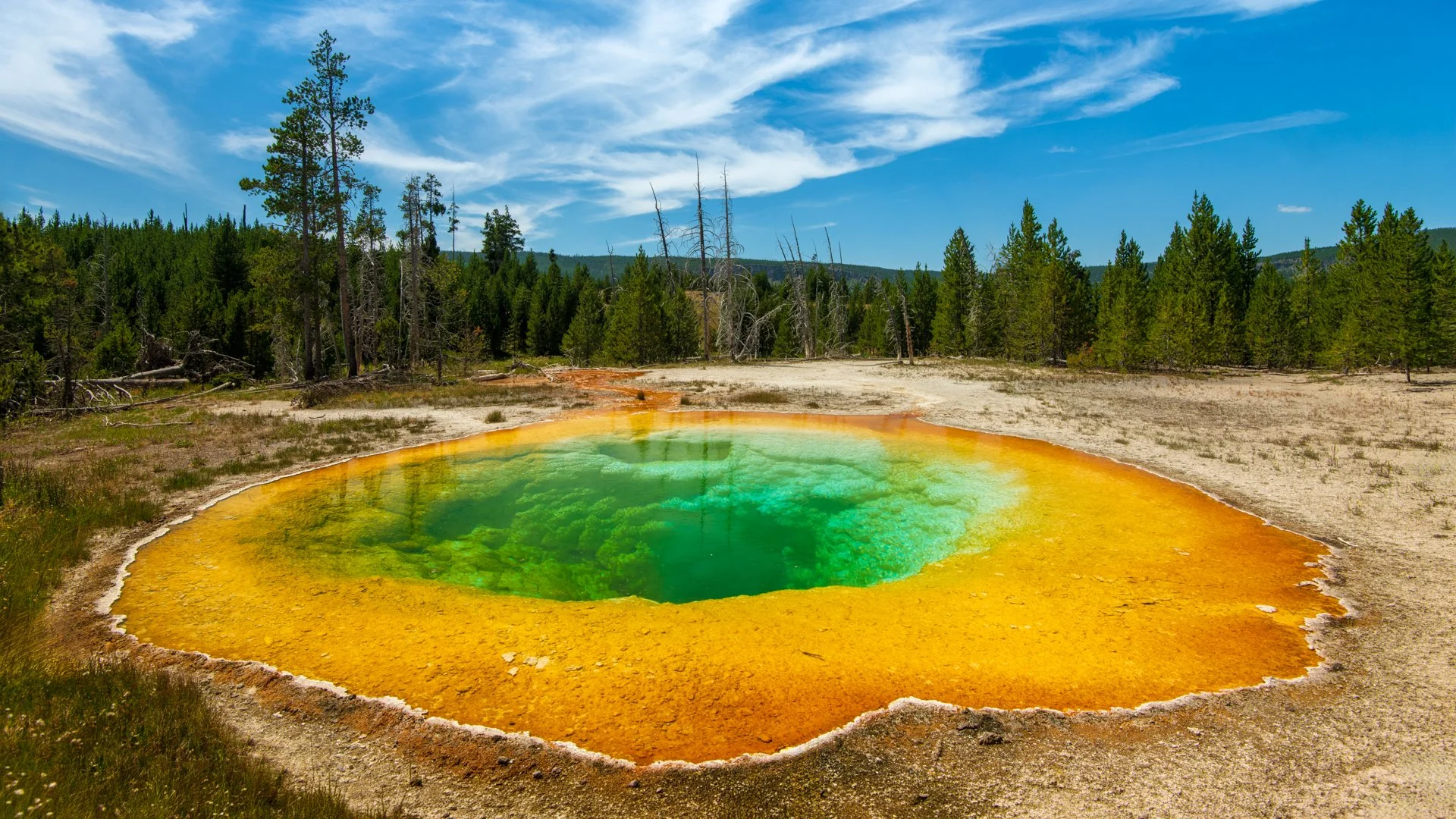 Yellowstone2,  2018.jpg