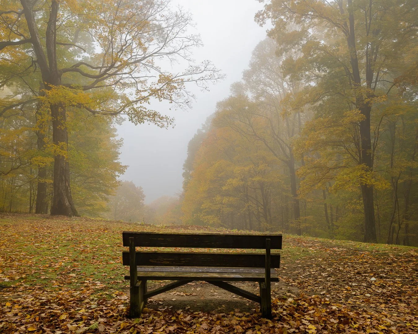 Misty Morning, West Virginia 2021 .jpg