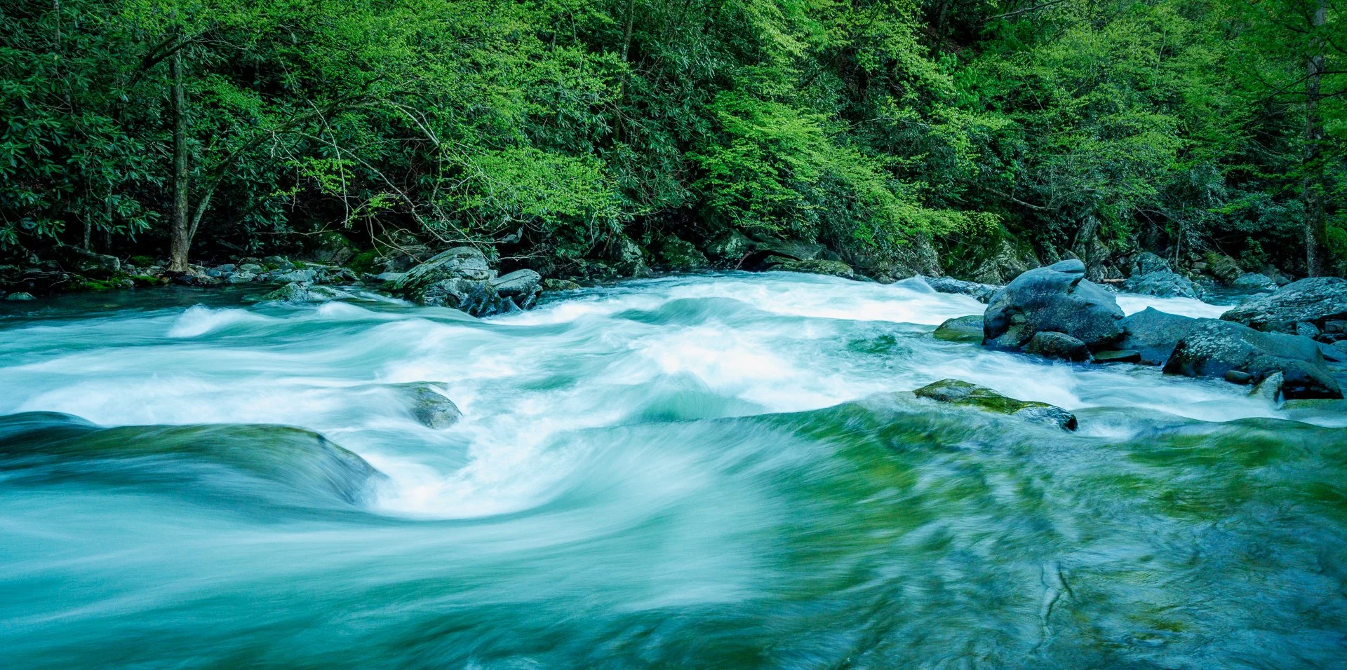 Smoky Mountains, 2019.jpg