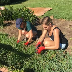 September 13 Lagomskap: Step-by-Step Fall Clearing for Spring