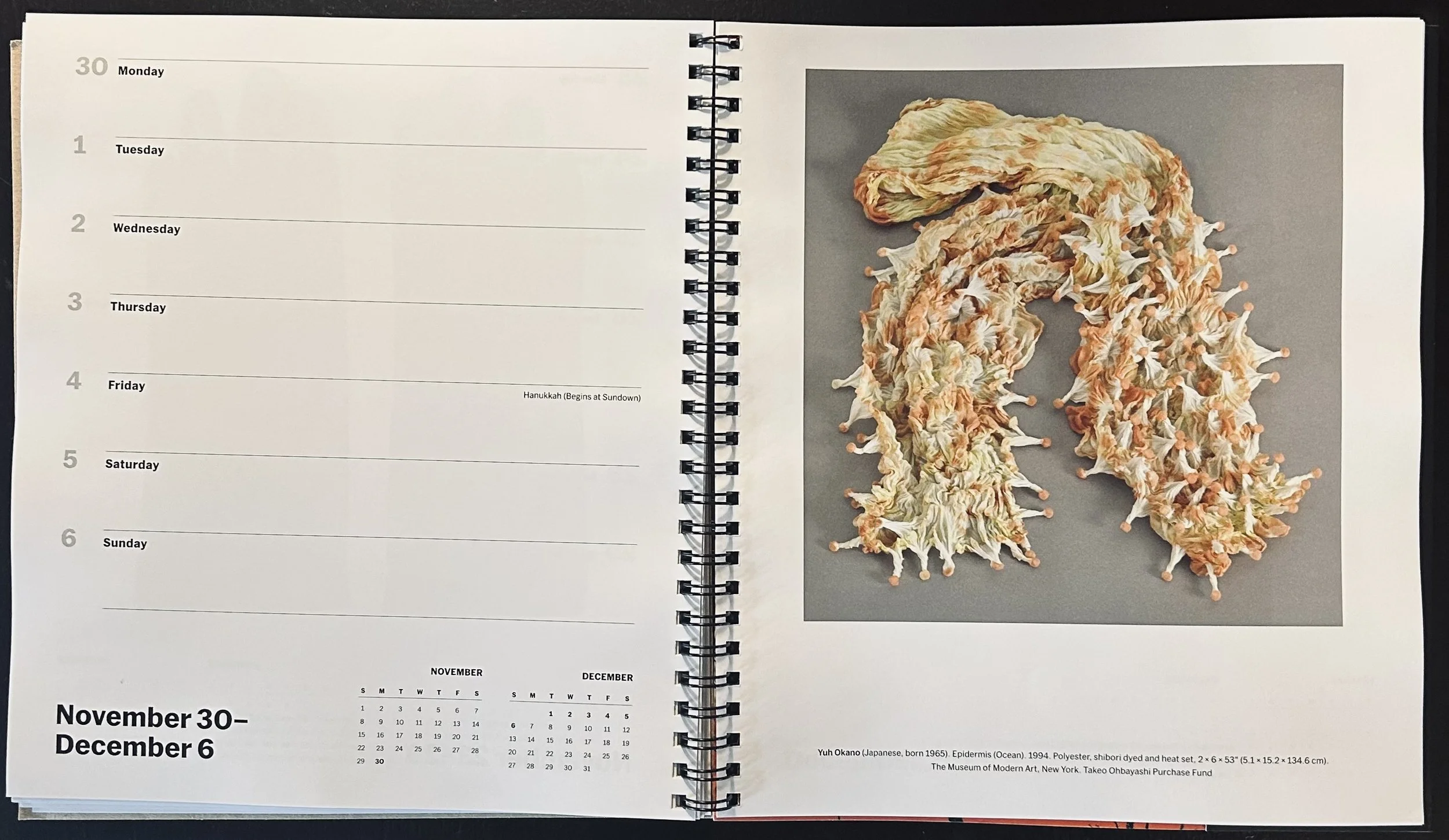2026 MoMA Appointment Calendar ( the photo of Yuh Okano