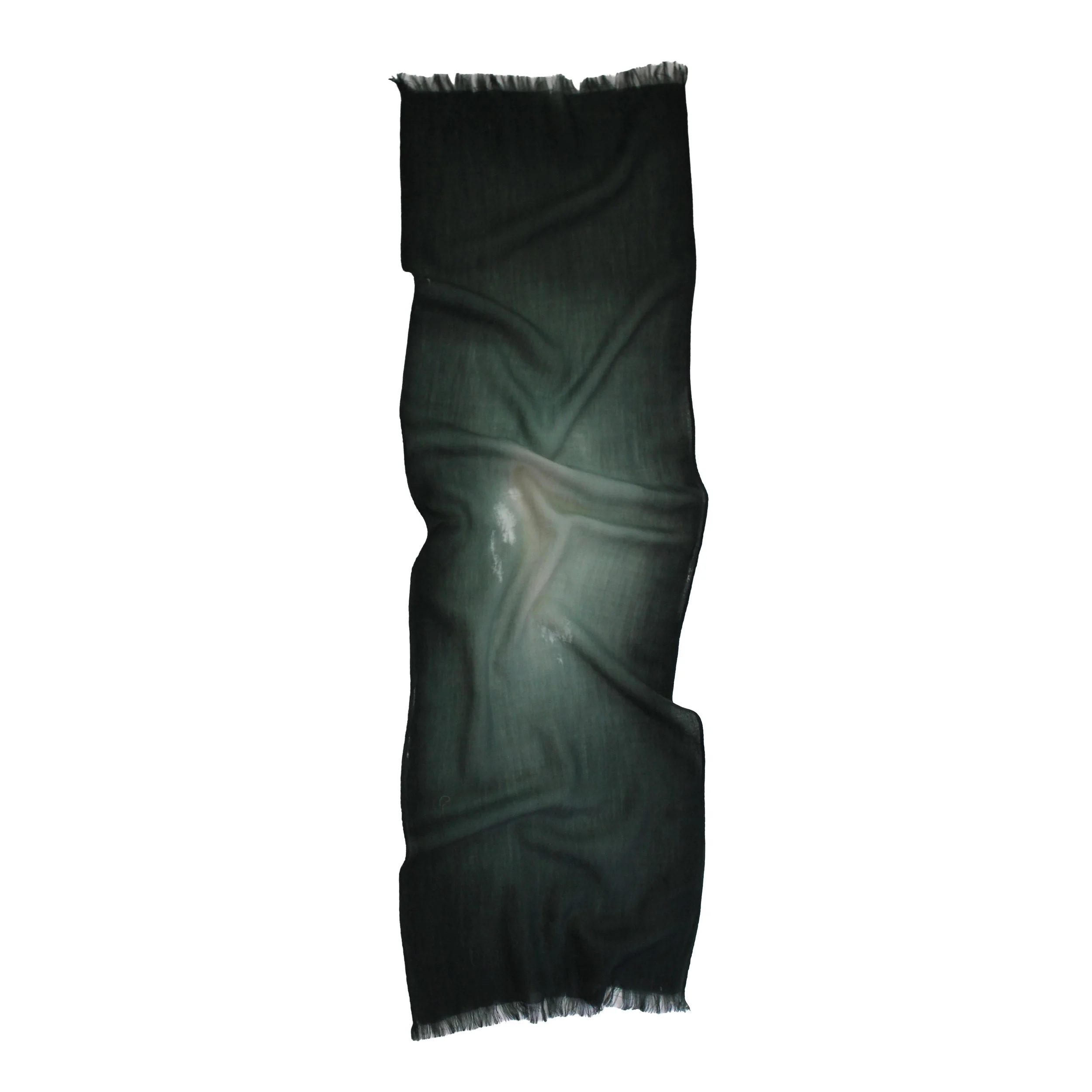 TY-19-01SPineGreen2SQ.jpg