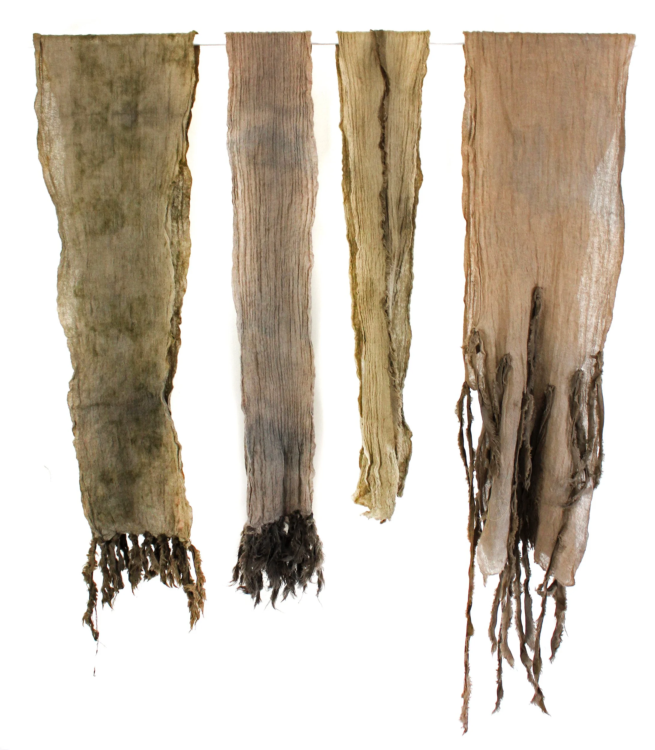 Roots