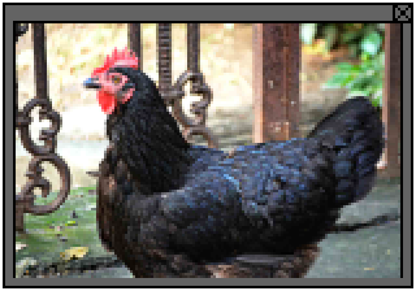 cockpopuppixel1_v01.png