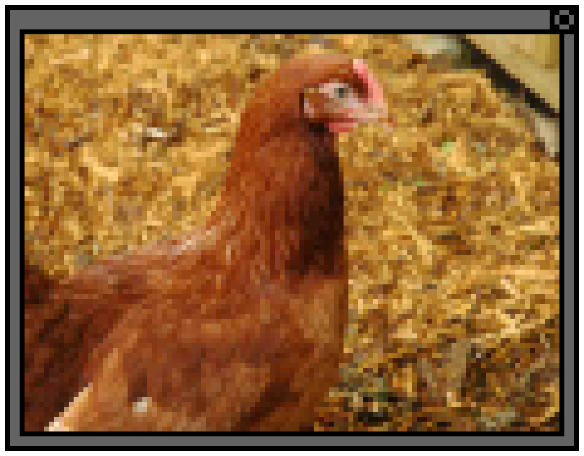 cockpopuppixel4_v01.png