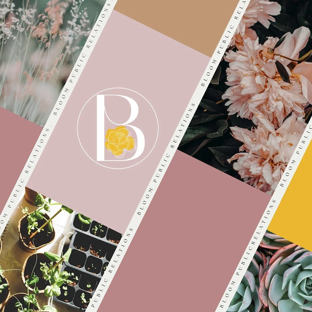 Bloom Public Relations is now accepting new clients AND our website is officially live! 🥳

Our services include:
🌱 Brand Discovery
🌱 Digital Marketing Services
🌱 Social Media Management
🌱 Media Relations
🌱 Website Design
🌱 Event Planning
&hell