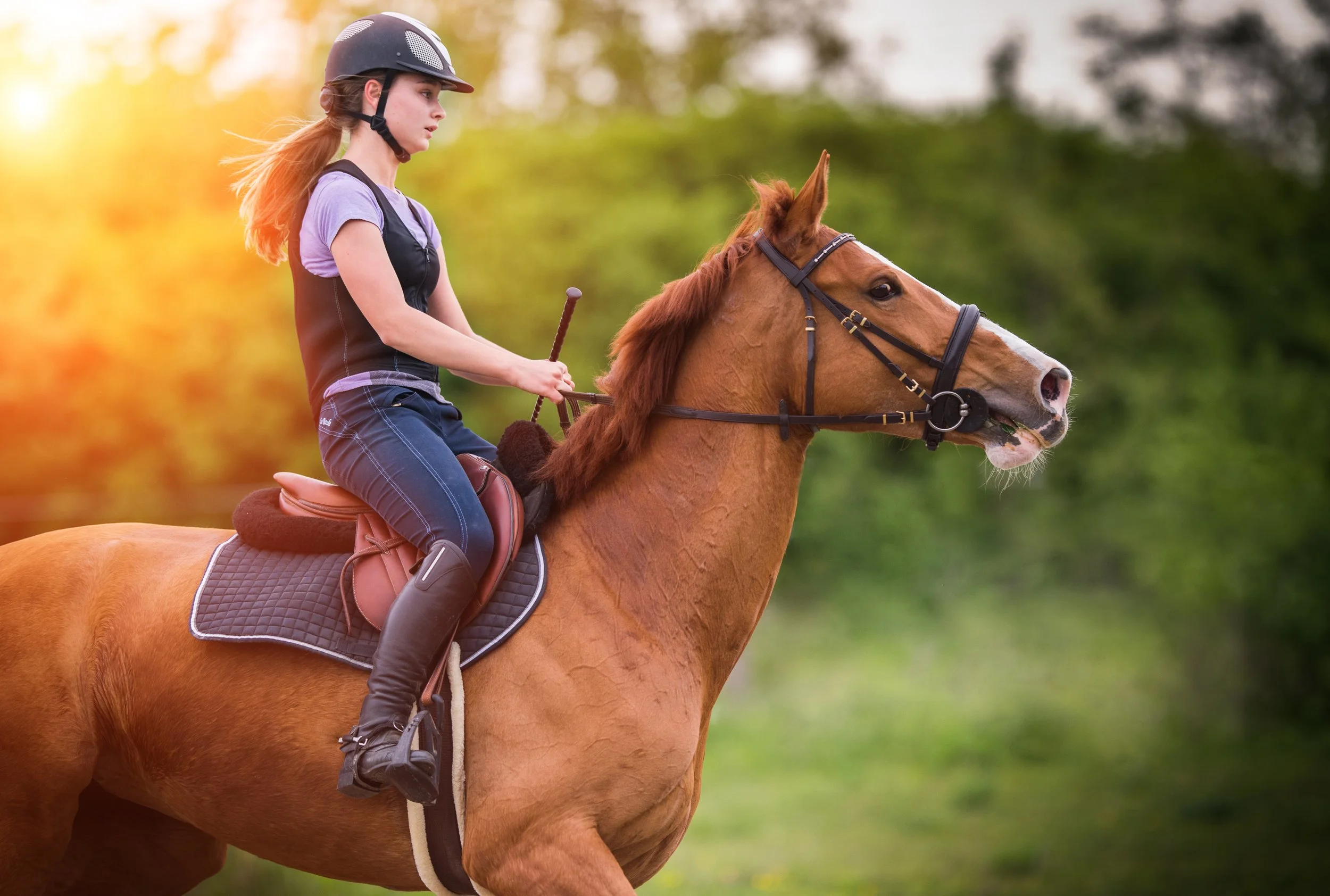 Interpreting Head & Neck behaviors Under Saddle