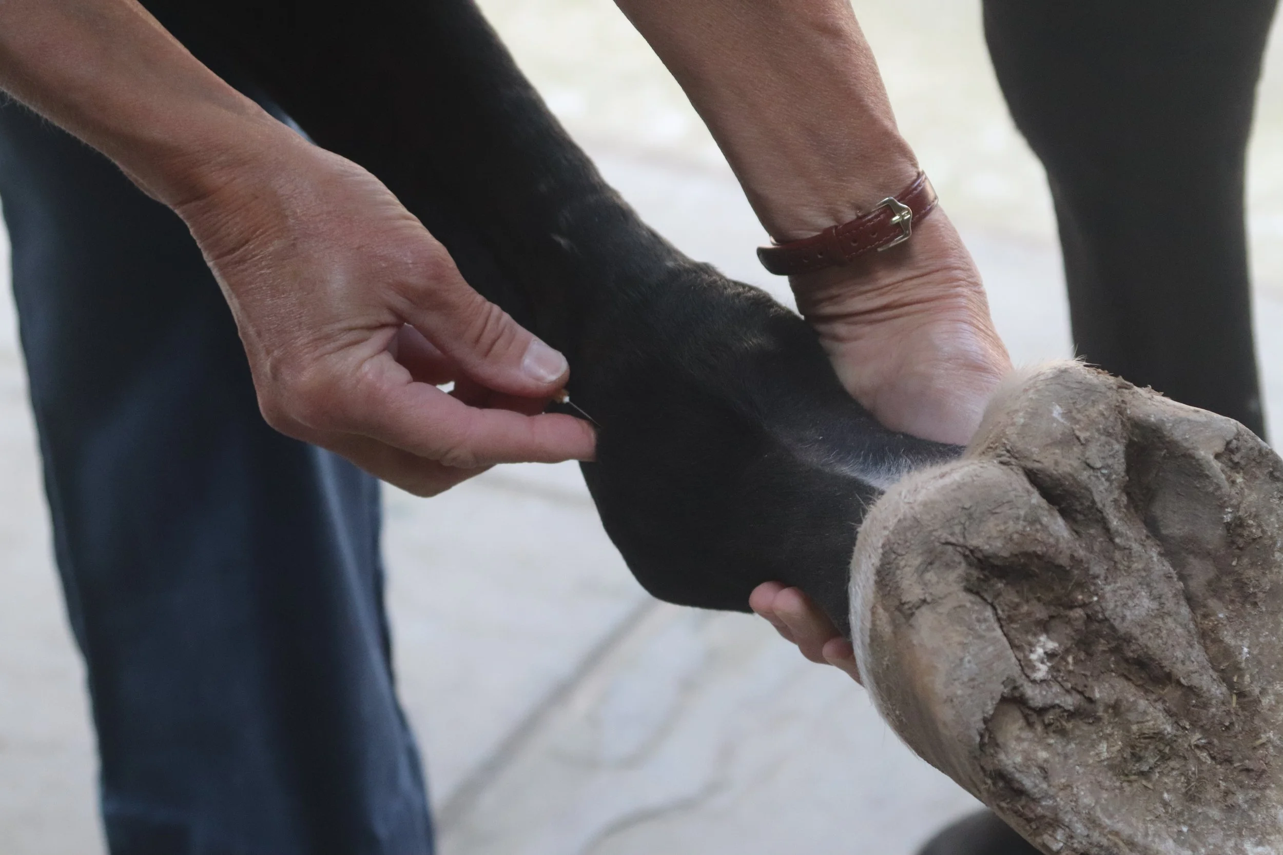 Diagnostic Nerve Blocks for Early Intervention