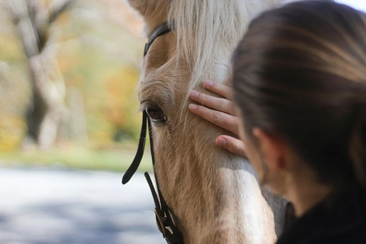 Avoid Purchasing Pitfalls – Matching Horse to Rider for Health &amp; Success