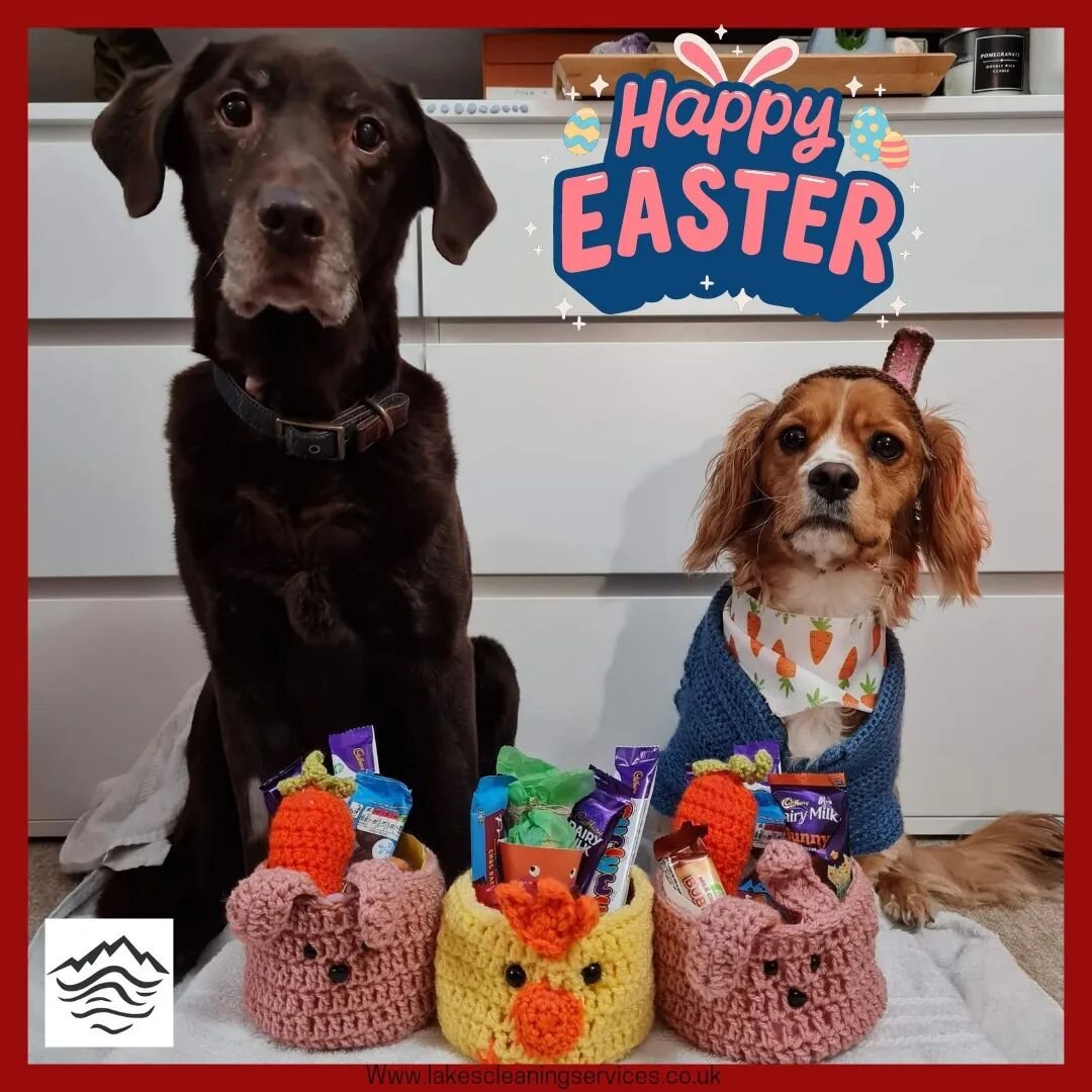 Happy Easter, you've been visited by the Easter-puppies!! 
Scotch and Streatley have been working really hard on their Easter baskets this year and they've only eaten HALF of the Easter treats!!! 
-LCS