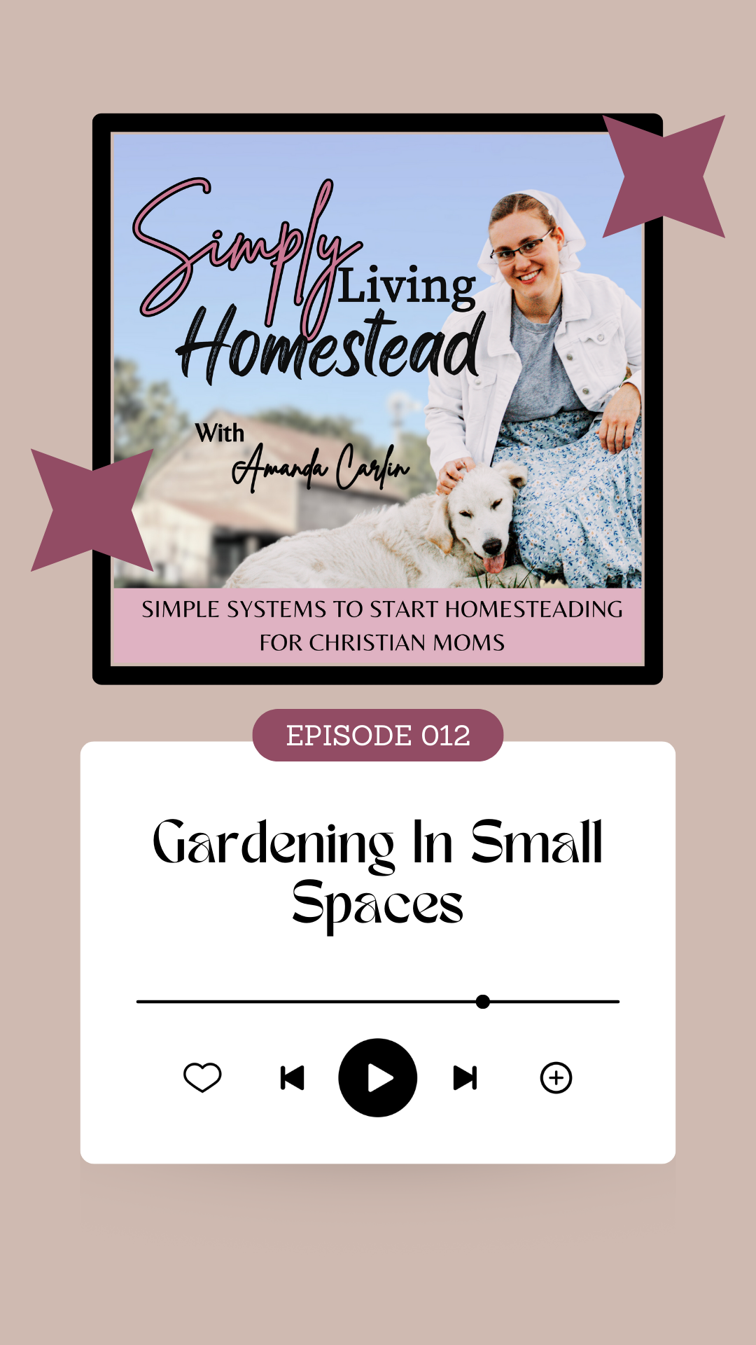 Gardening In Small Spaces