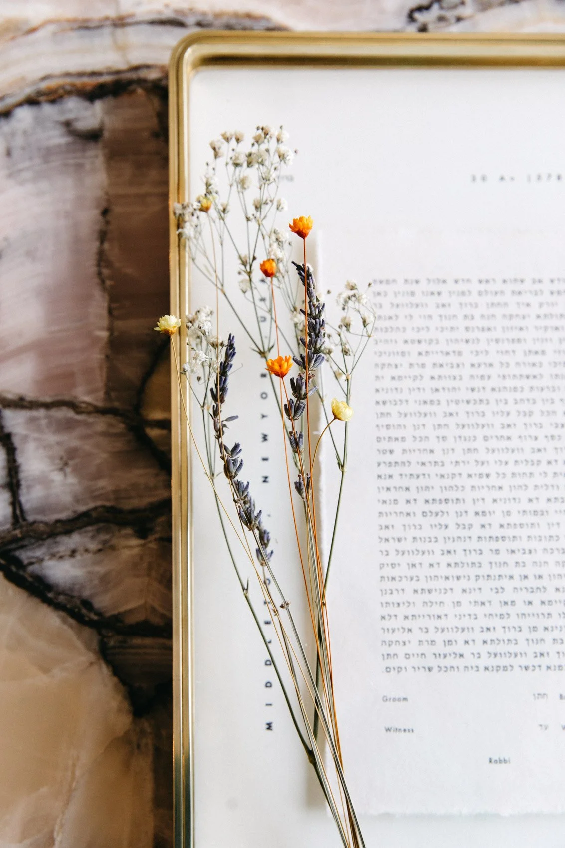 Oldworld Alison-2.jpg