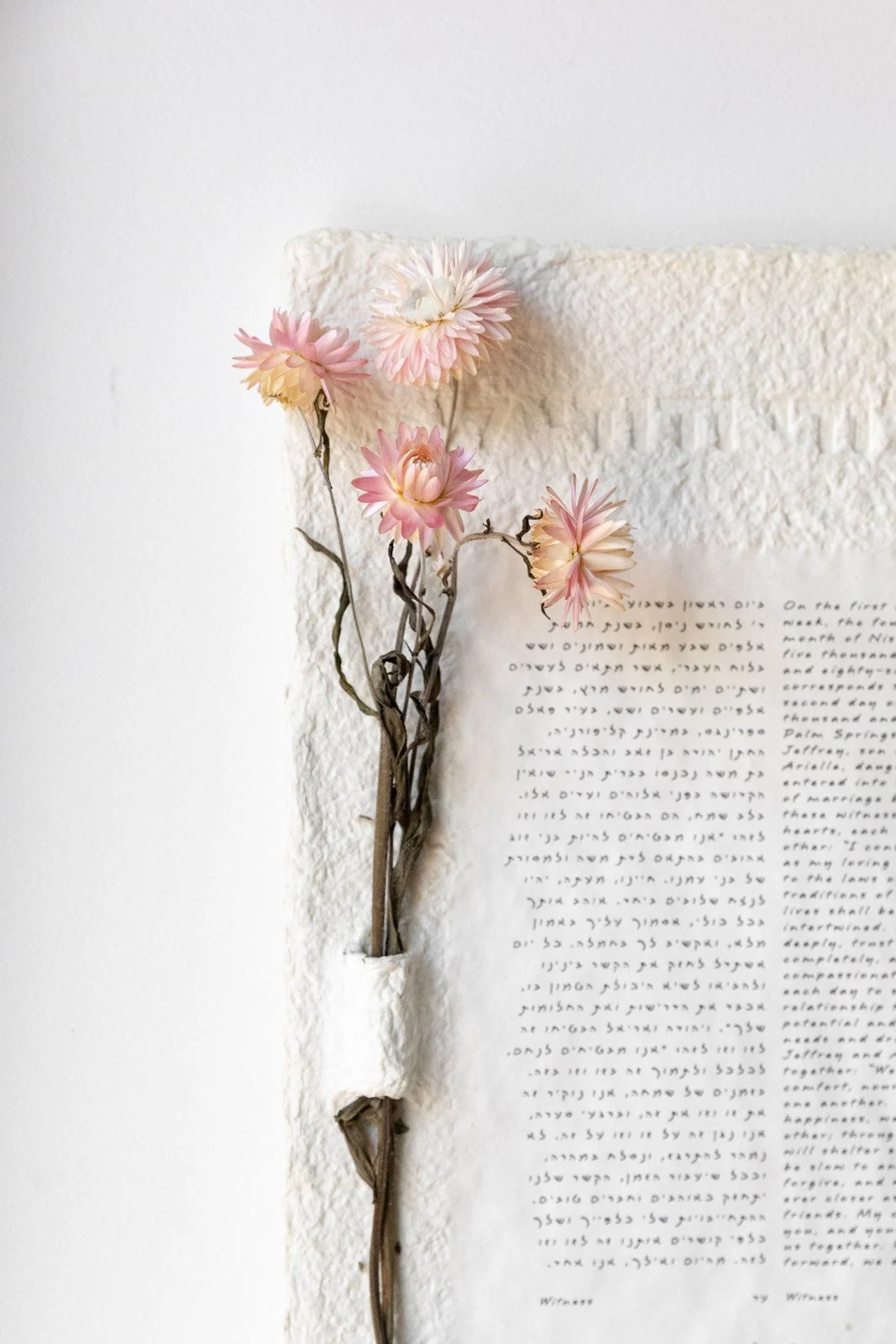 Flower Selection Images July 2026-20.jpg