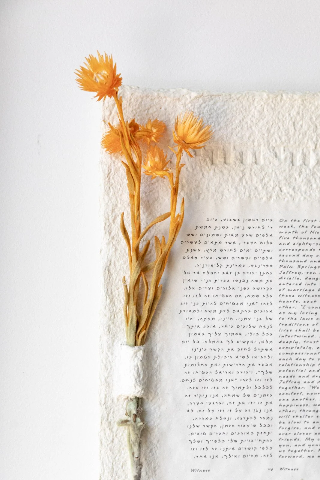 Flower Selection Images July 2026-17.jpg