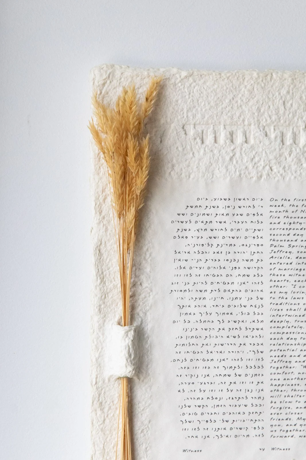 Bristle Grass