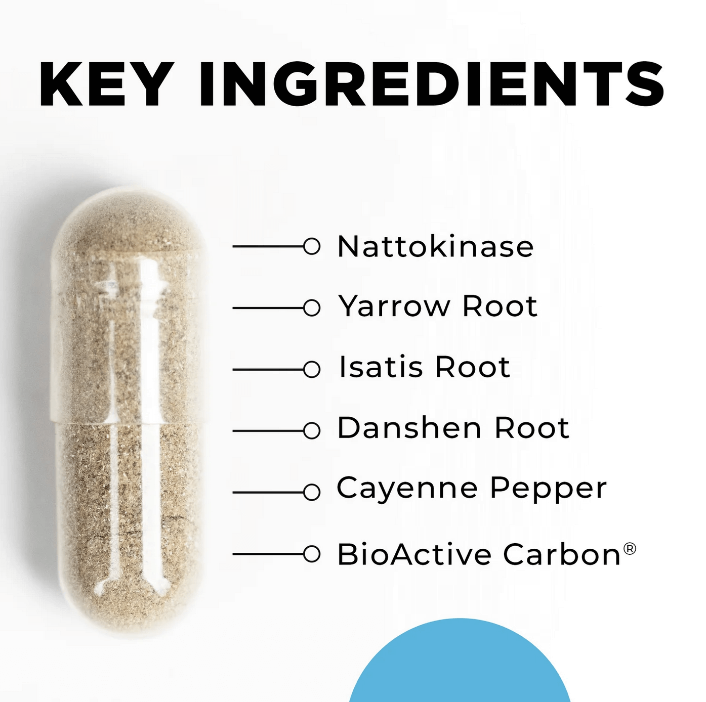 CardioImmune_key ingredients.png