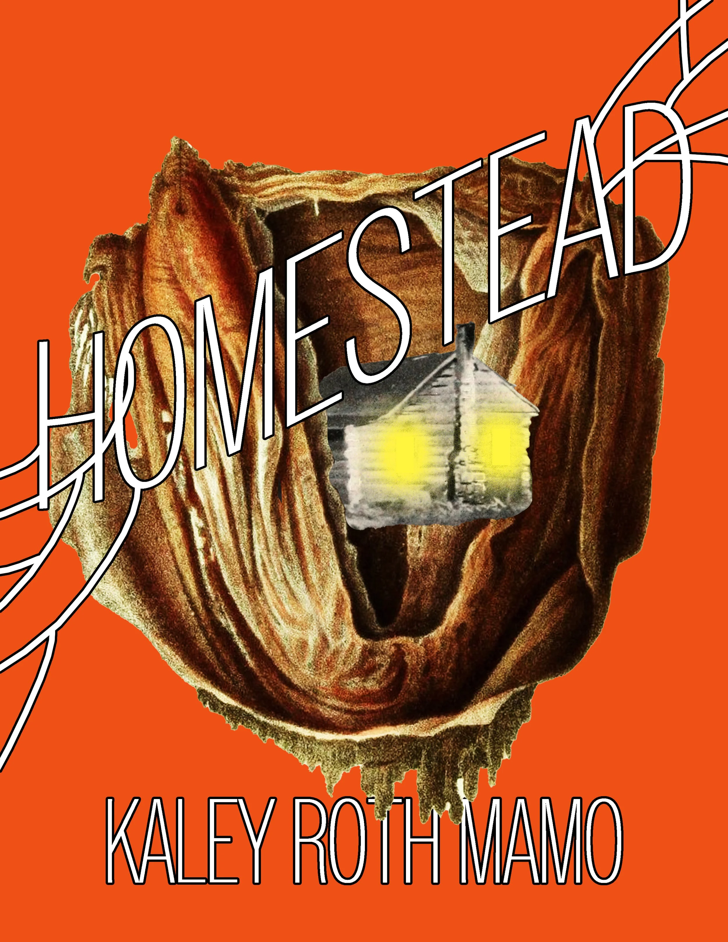 HOMESTEAD POSTER