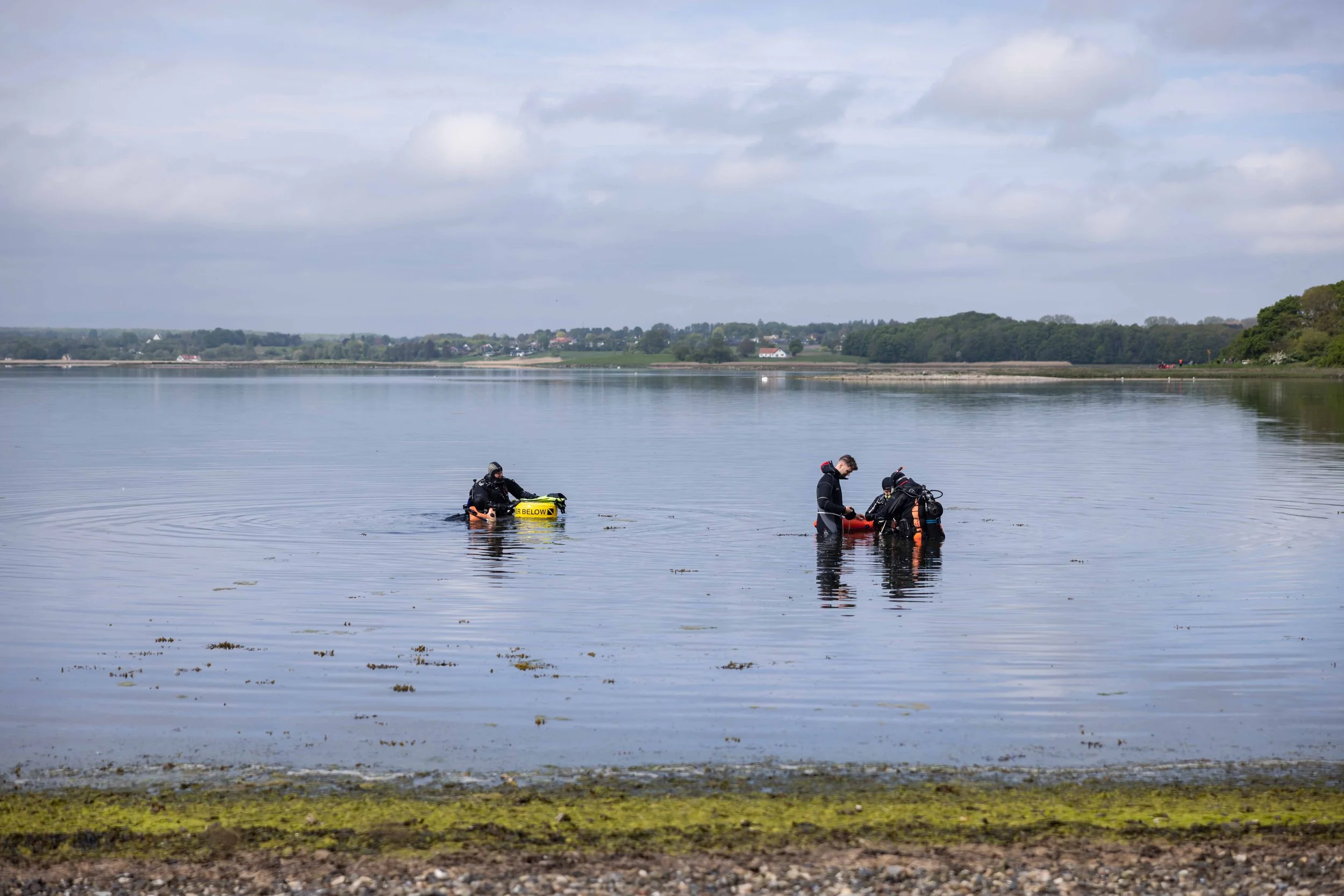 Tre dykkere i vandet ved en bred, rolig sø eller flod med grønne træer i baggrunden.